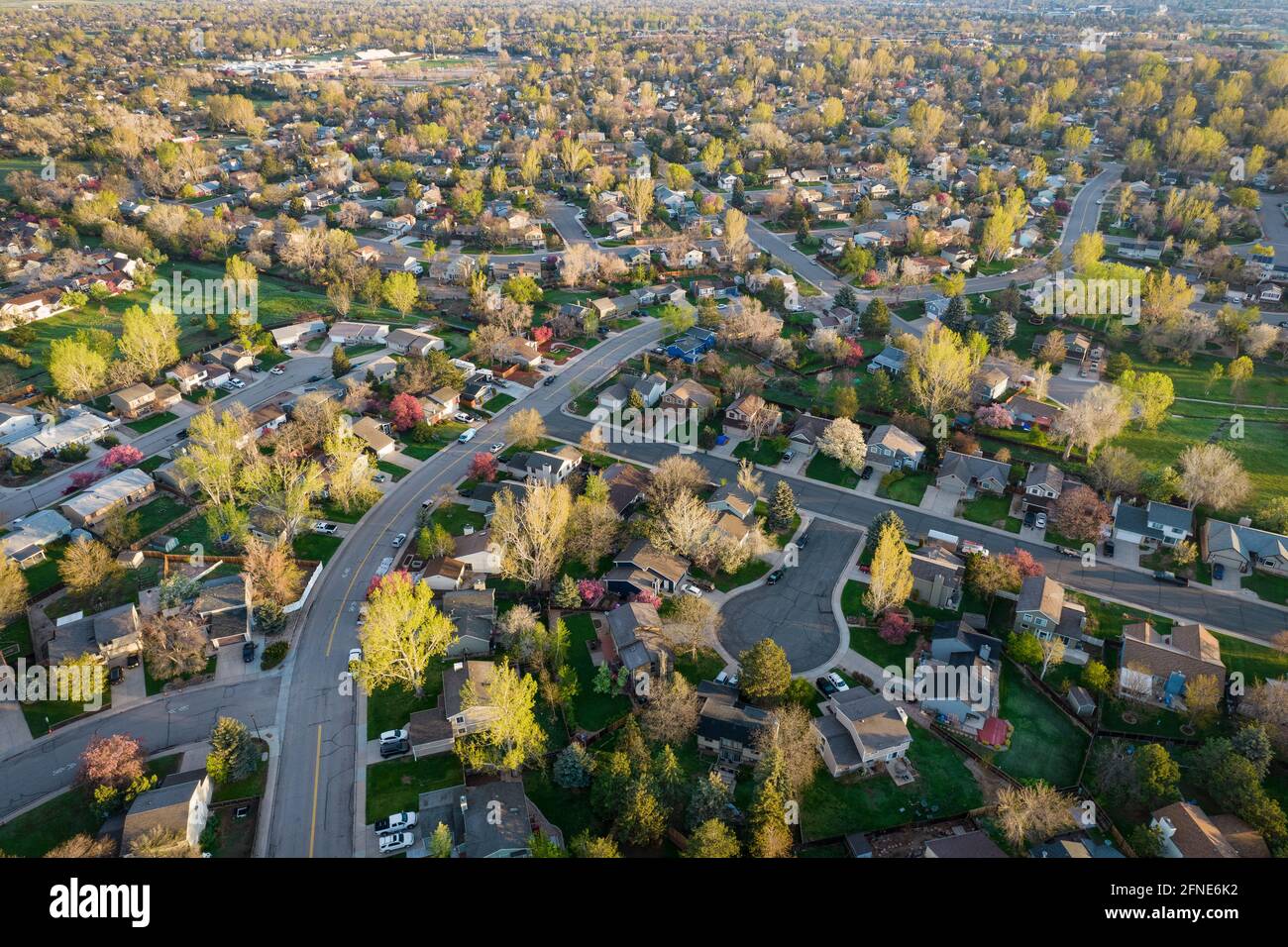 street in una zona residenziale di Fort Collins nel nord Colorado - veduta aerea di mattina presto in primavera Foto Stock
