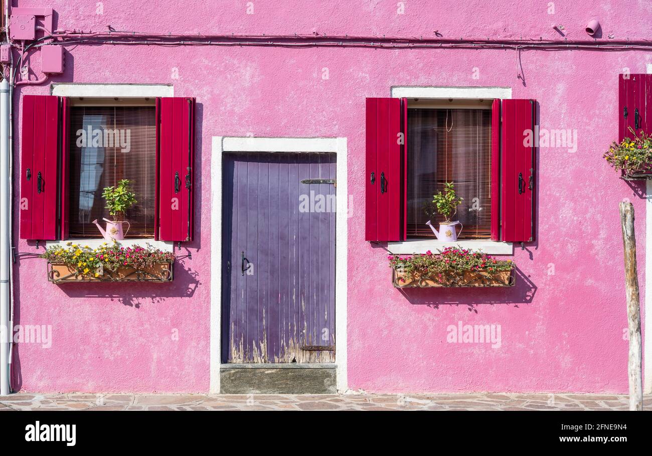 Casa rosa con finestre e decorazioni floreali, facciata colorata, morboso, isola di Burano, Venezia, Veneto, Italia Foto Stock