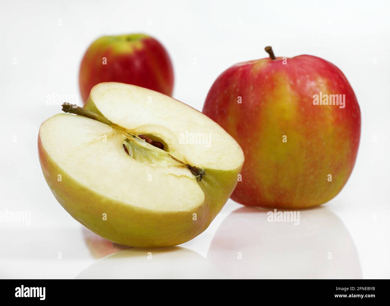 Malus domestica, mela coltivata, mela, mele, famiglia di rose, mele rosa signora, malus domestica, su sfondo bianco Foto Stock