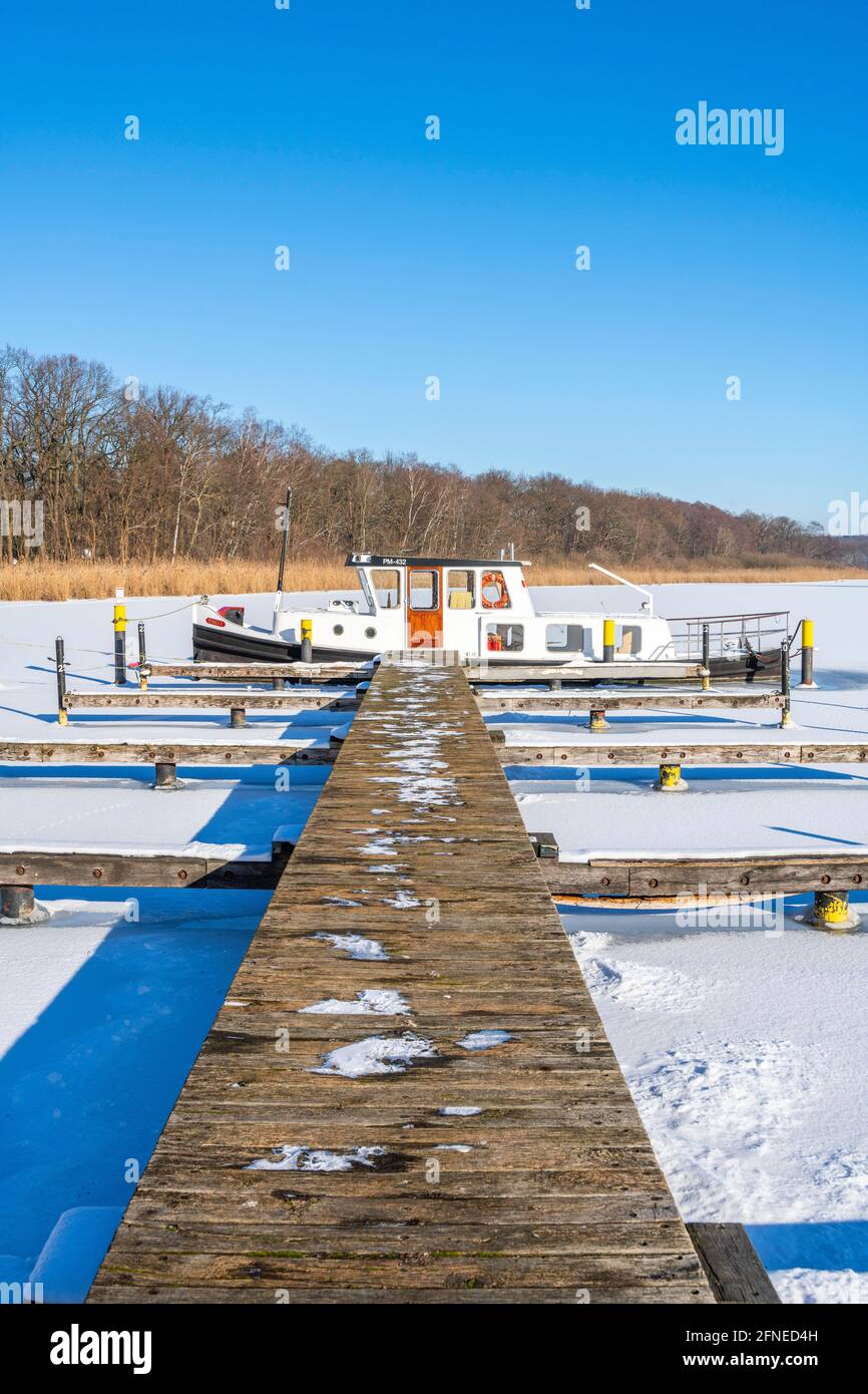 Spedire congelato in ghiaccio sul lago Templin, Potsdam, Brandeburgo, Germania Foto Stock