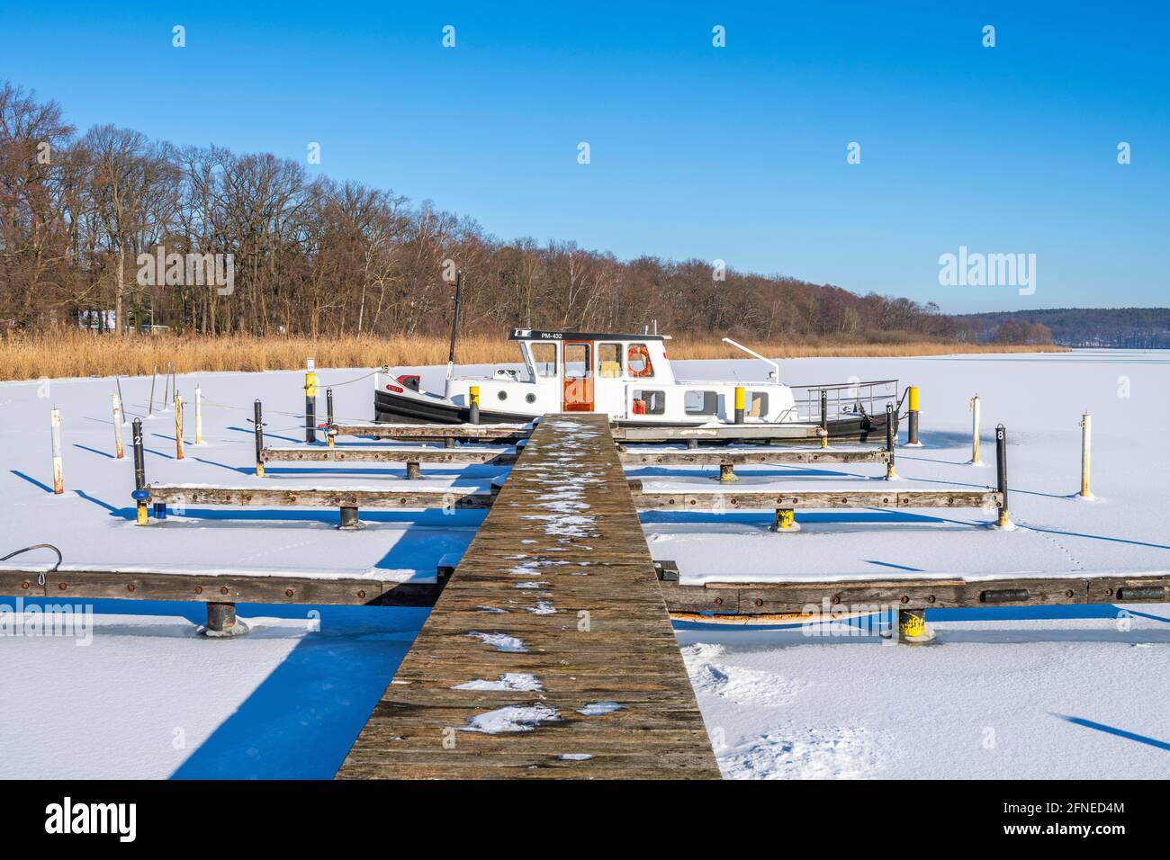 Spedire congelato in ghiaccio sul lago Templin, Potsdam, Brandeburgo, Germania Foto Stock