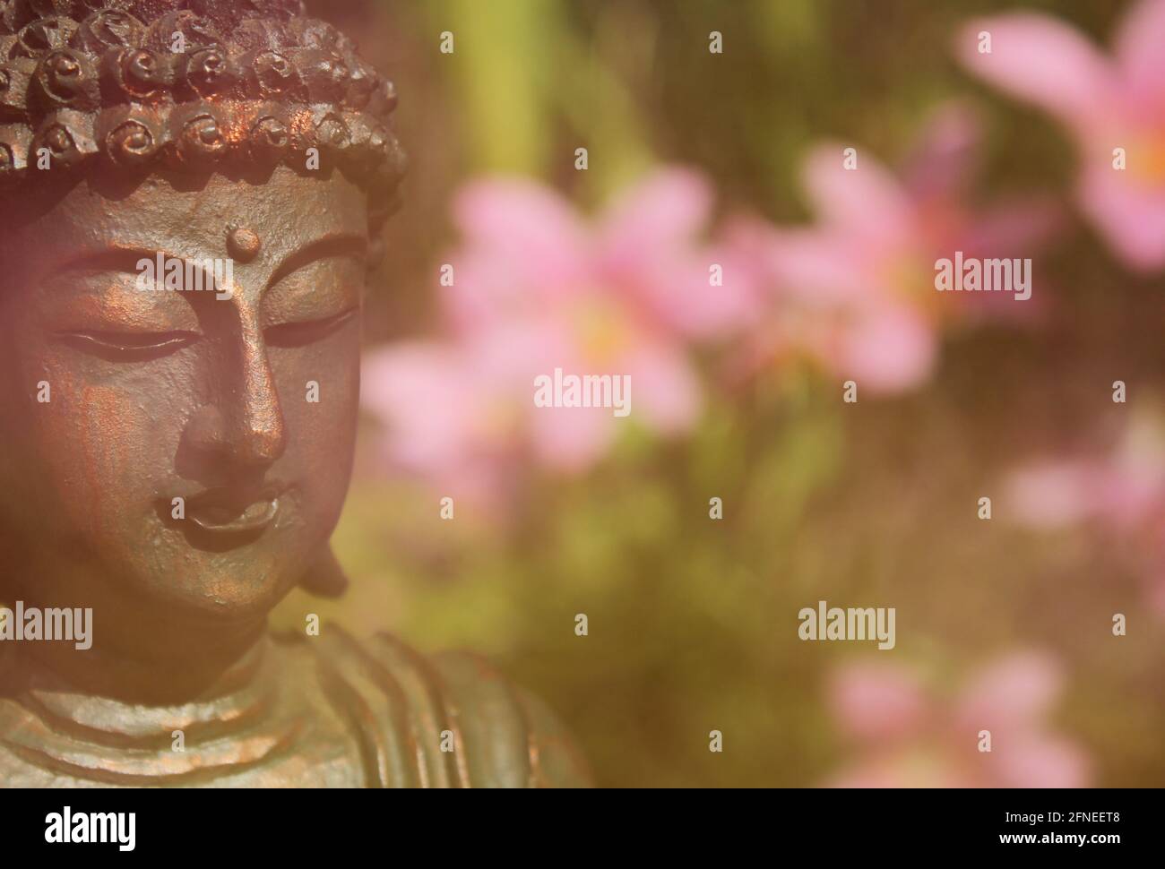 Statua di Buddha all'aperto in giardino con sfondo sfocato Foto Stock