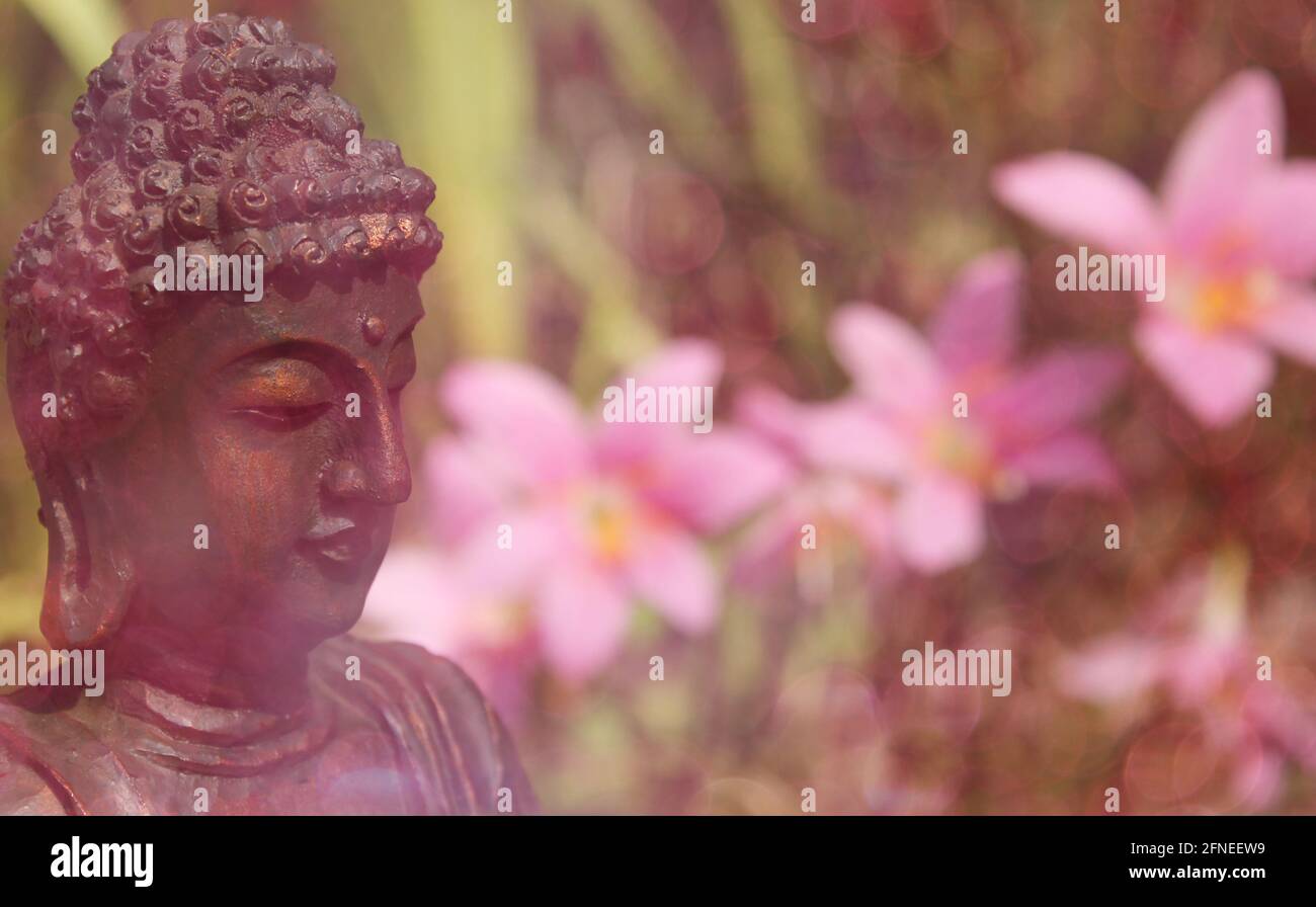 Statua di Buddha all'aperto in giardino con sfondo sfocato Foto Stock