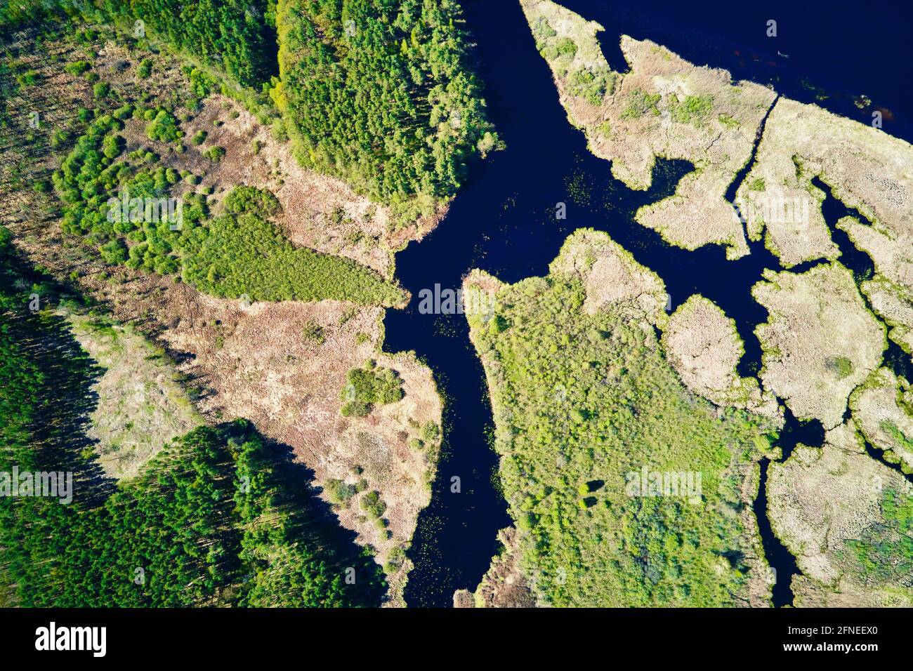 Vista aerea della pianta del fiume e della foresta verde durante il giorno d'estate. Vista dall'alto del bellissimo paesaggio naturale Foto Stock