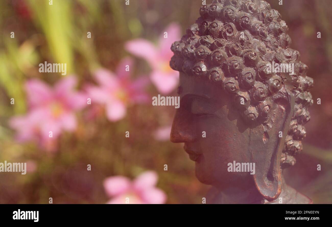 Statua di Buddha all'aperto in giardino con sfondo sfocato Foto Stock