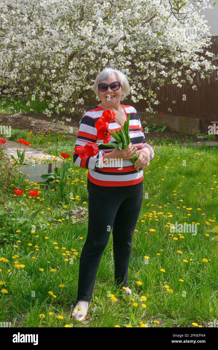 Ritratto a lunghezza intera di una donna anziana sorridente che sta in piedi con tulipani nelle sue mani su prato verde brillante a. il suo cortile con ciliegia in fiore tre Foto Stock