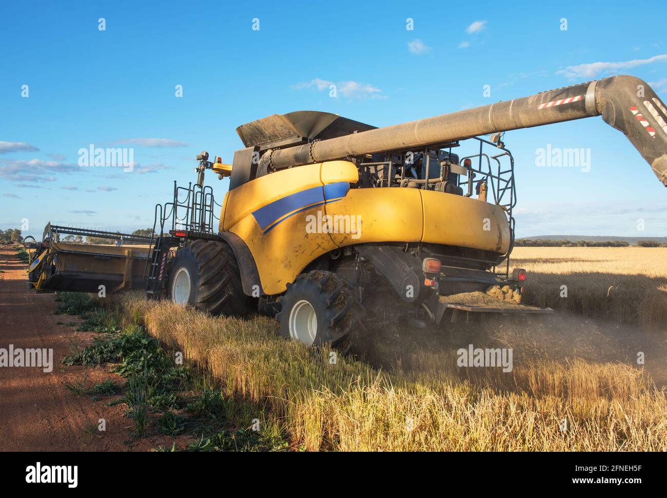 Raccolta del riso nella fattoria vicino Griffith nel nuovo Galles del Sud, Australia Foto Stock