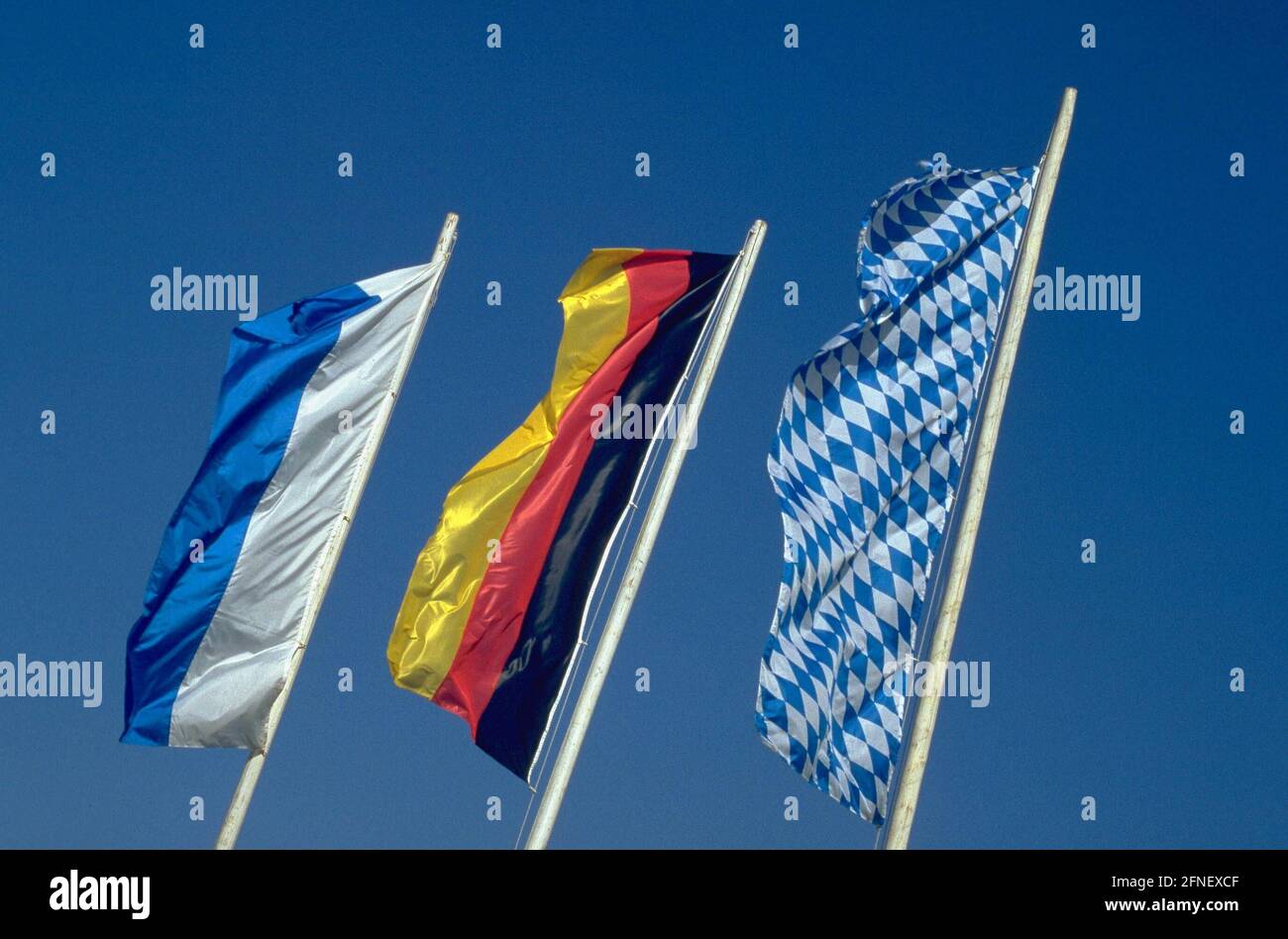 Trama Dello Sfondo Della Bandiera Bavarese Sfondo Oktoberfest Con Motivo Gm1169794948 323511164