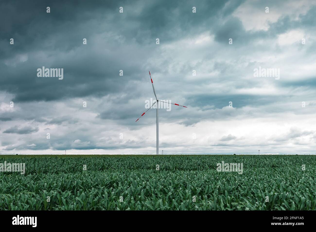 Concetto di energia verde con turbine eoliche in campo agricolo coltivato, energie rinnovabili e risorse sostenibili Foto Stock