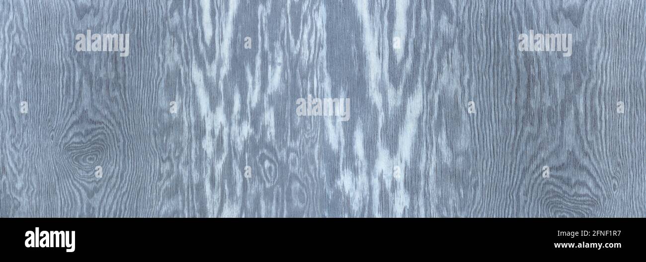 Legno grigio-blu con grana verticale intensa in primo piano panoramico Foto Stock Legno grigio-blu con grana verticale intensa in primo piano panoramico Foto Stock