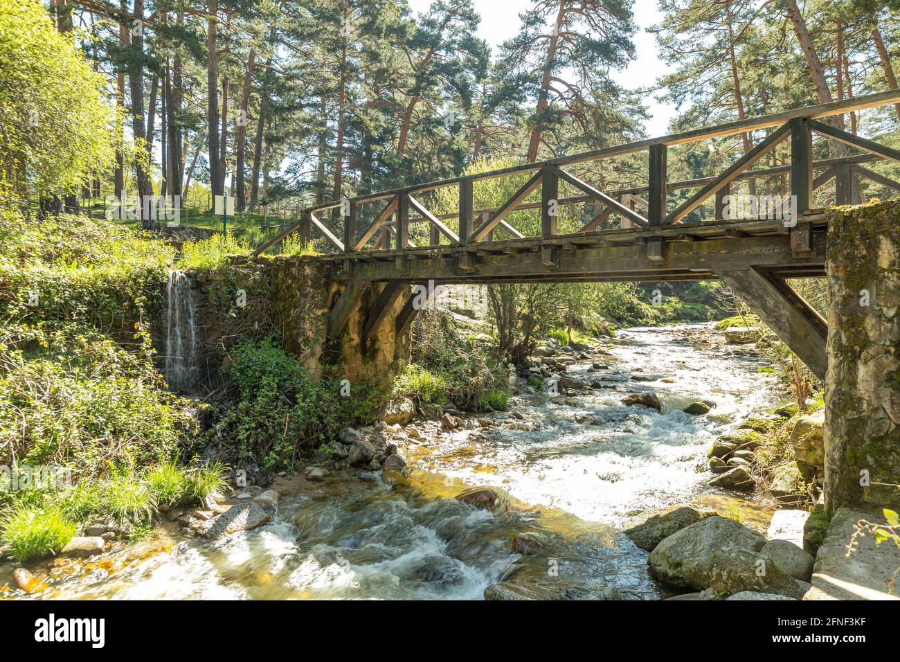 Senda de las Pesquerías Reales, Valsaín (Segovia) Foto Stock