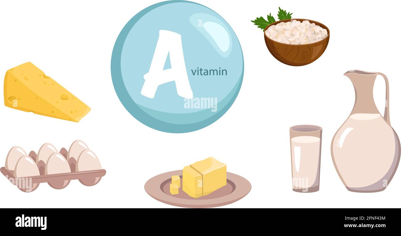 Una fonte di vitamina A, calcio e proteine. Raccolta di prodotti lattiero-caseari. Cibo dietetico. Stile di vita sano Illustrazione Vettoriale