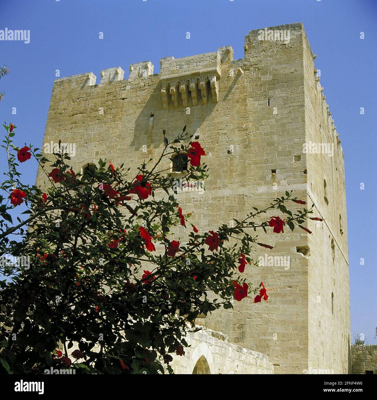 Arbusto con fiori rossi di fronte ad una torre del castello dell'Ordine dei Templari dal 1454. [traduzione automatizzata] Foto Stock