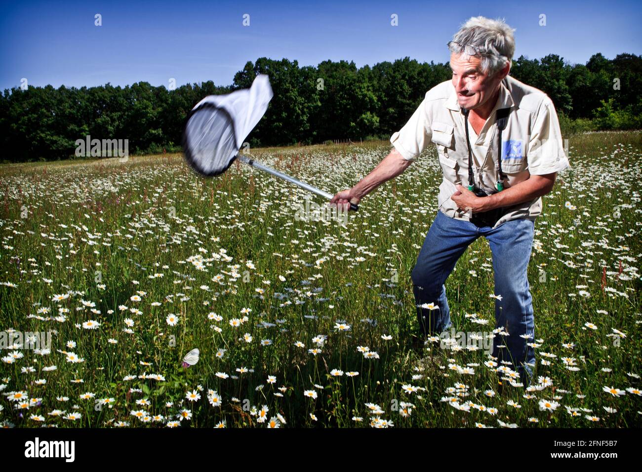 Parco Nazionale la Brenne, Francia Foto Stock