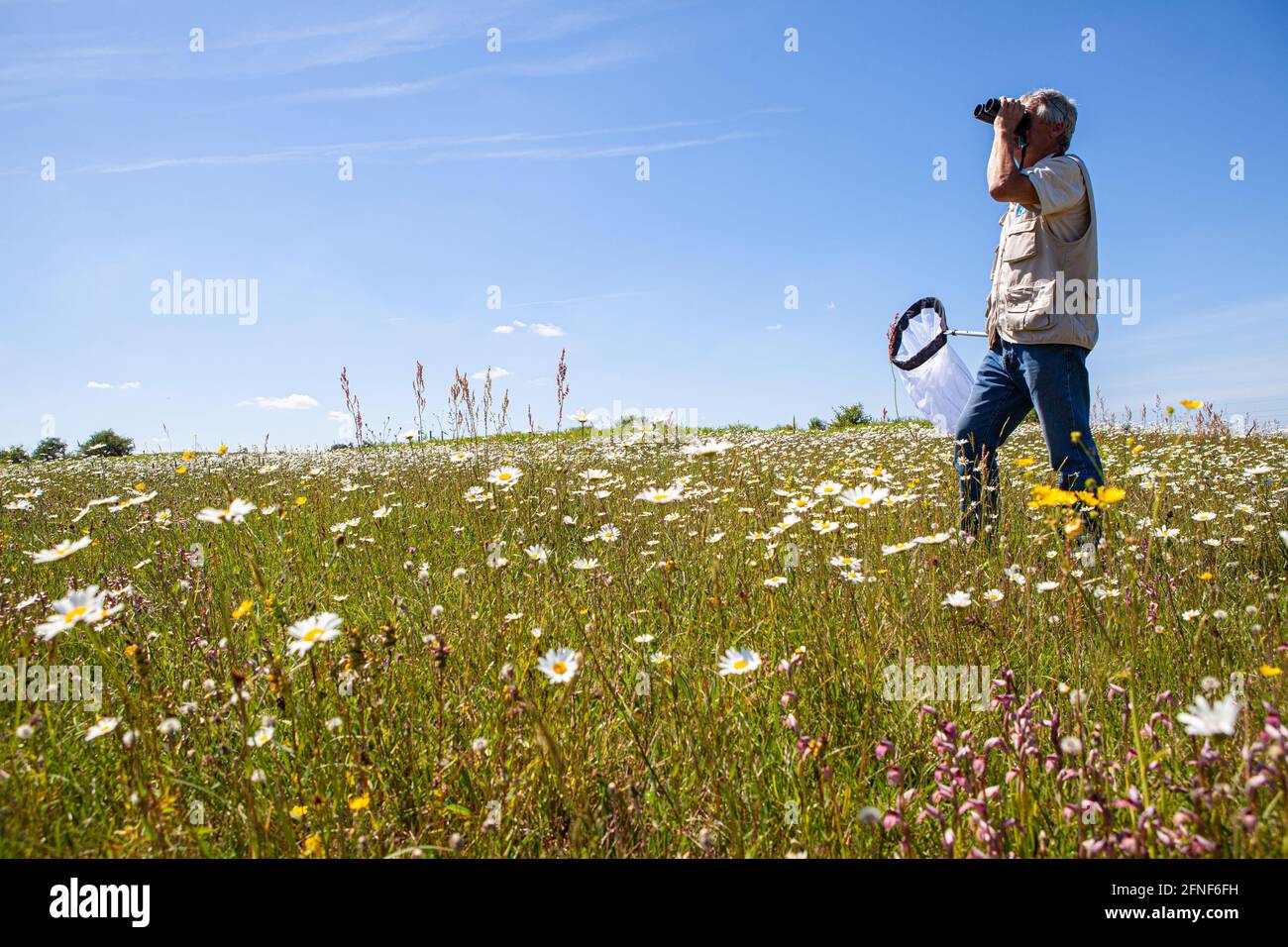 Parco Nazionale la Brenne, Francia Foto Stock