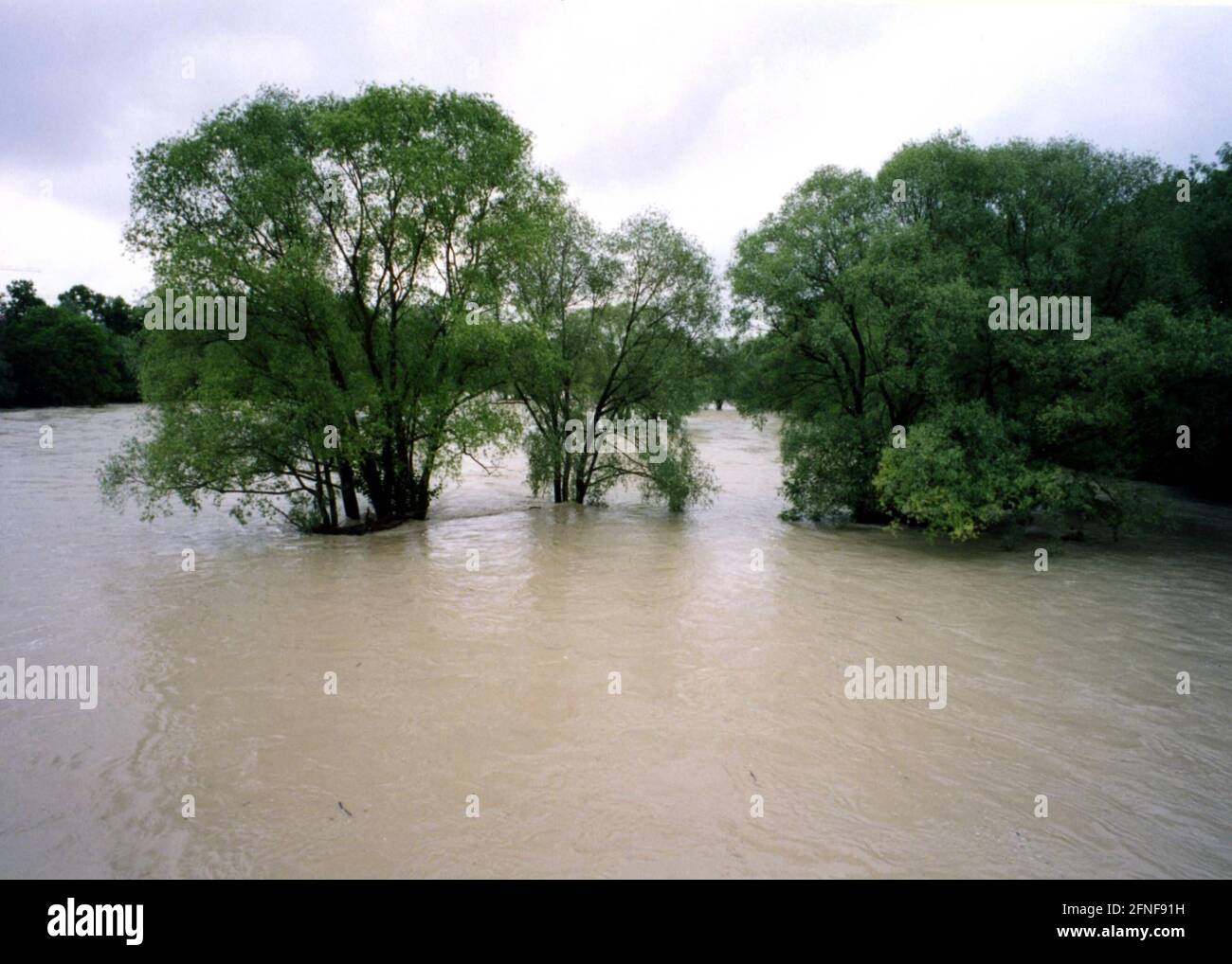 Allagati prati di Isar e Isar durante l'alluvione del 1999 vicino al ponte Wittelsbacher. [traduzione automatizzata] Foto Stock