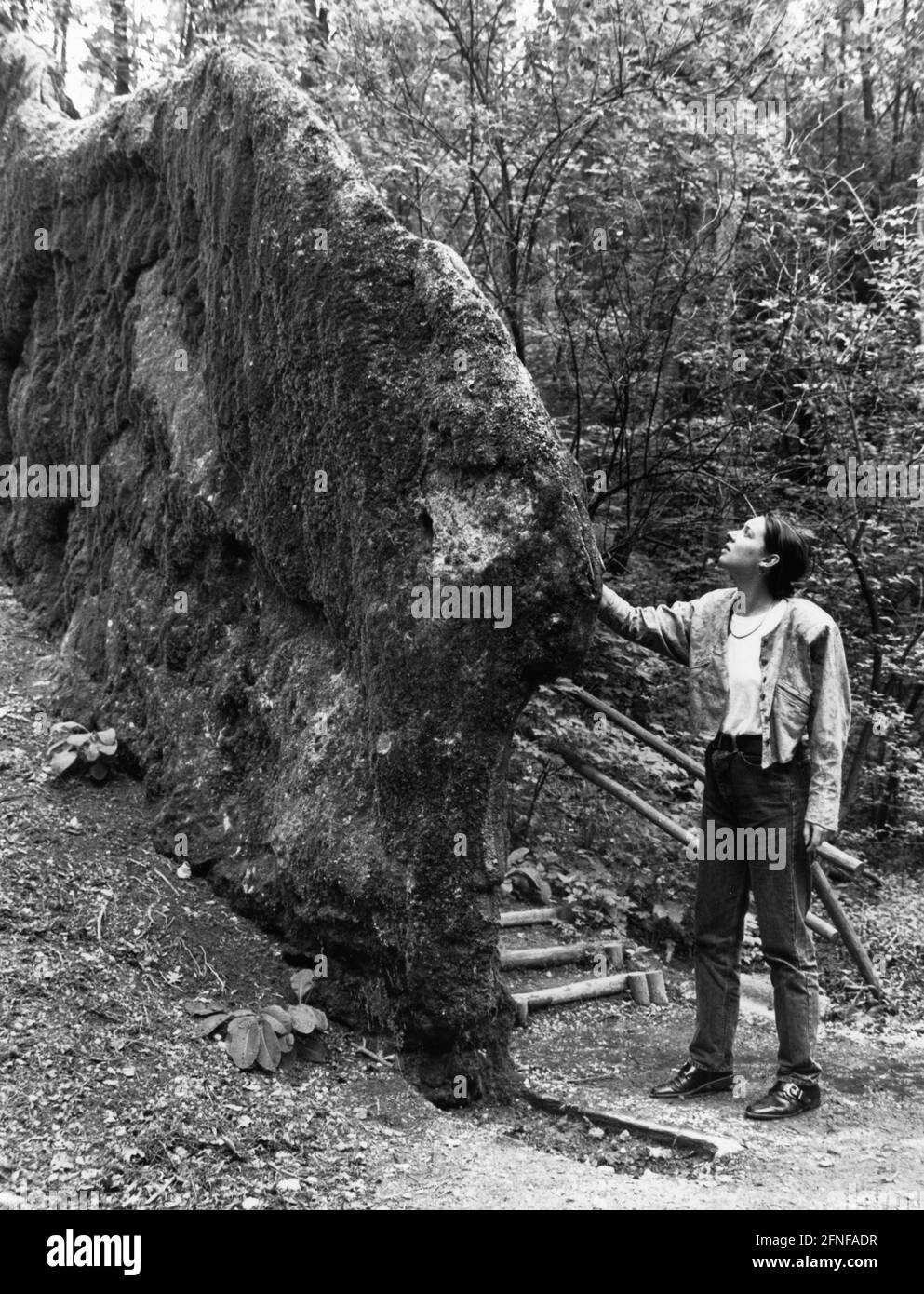 La pietra crescente vicino all'ingresso di Usterling vicino Landau. E' alta circa 5,4 m con una larghezza fino a 1,2 m e una lunghezza di 24 m. [traduzione automatizzata] Foto Stock