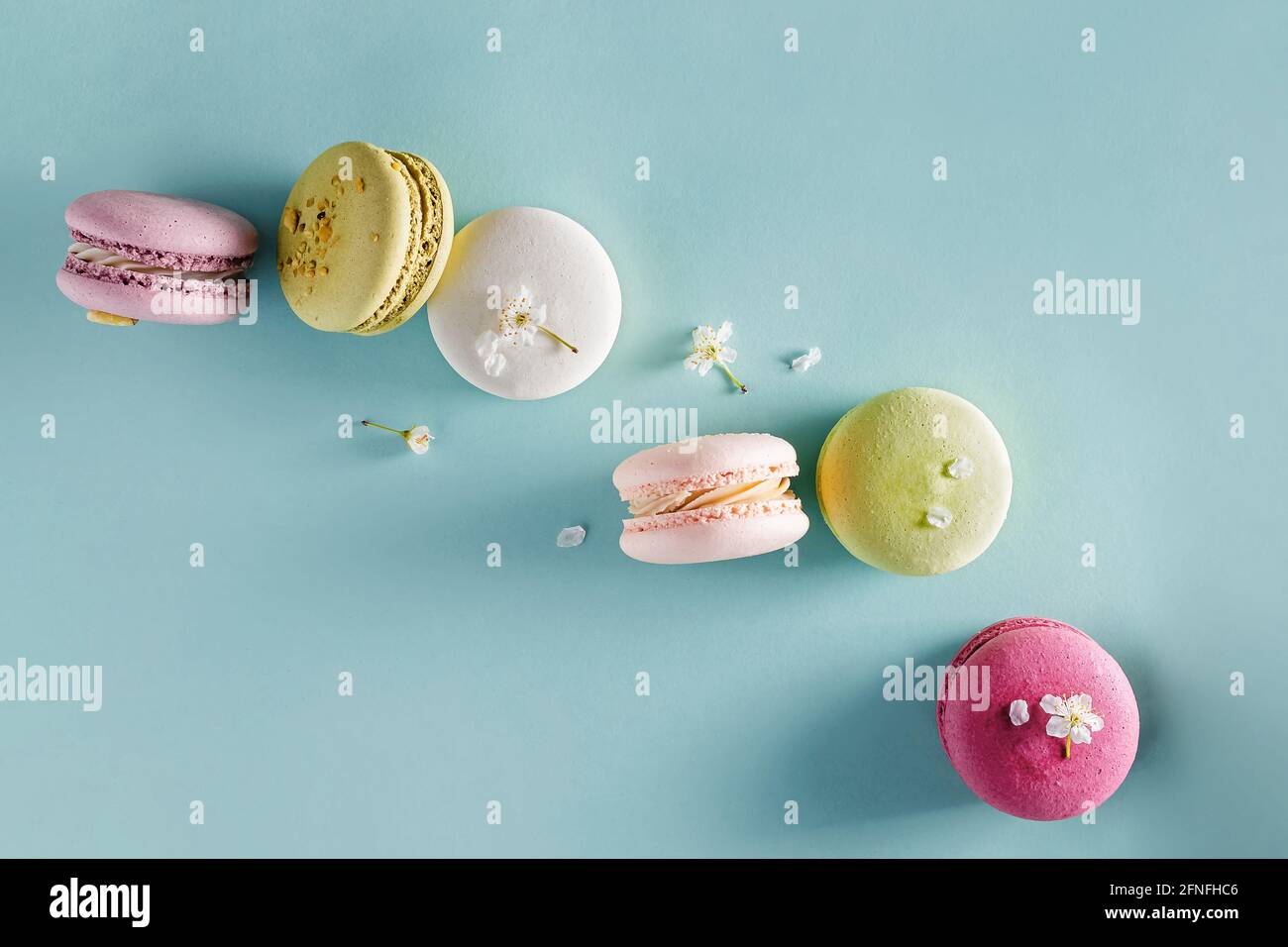 Macaroni da dessert francesi e fiori di alberi di primavera Foto Stock