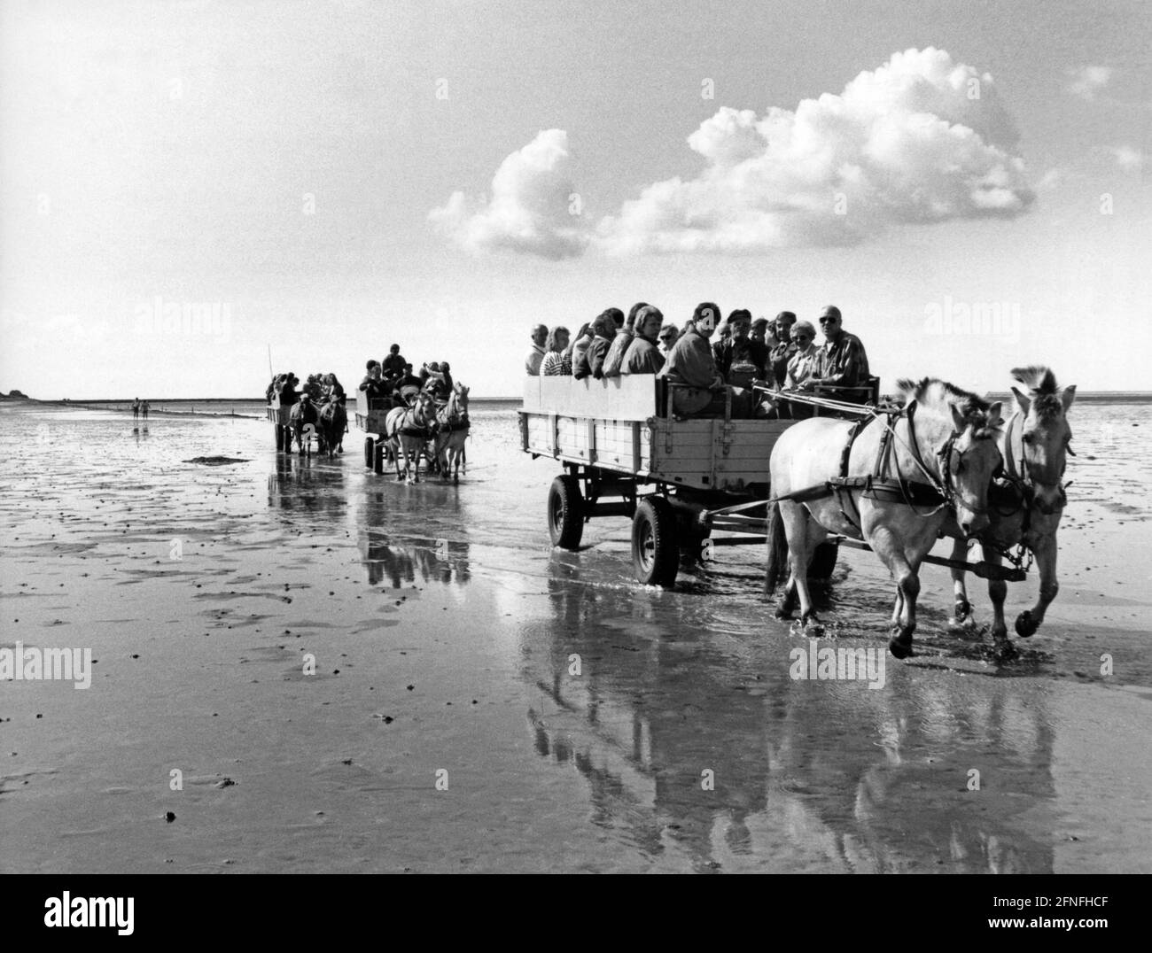 Le carrozze guidano attraverso il Mare di Wadden ad un Halligen. [traduzione automatizzata] Foto Stock
