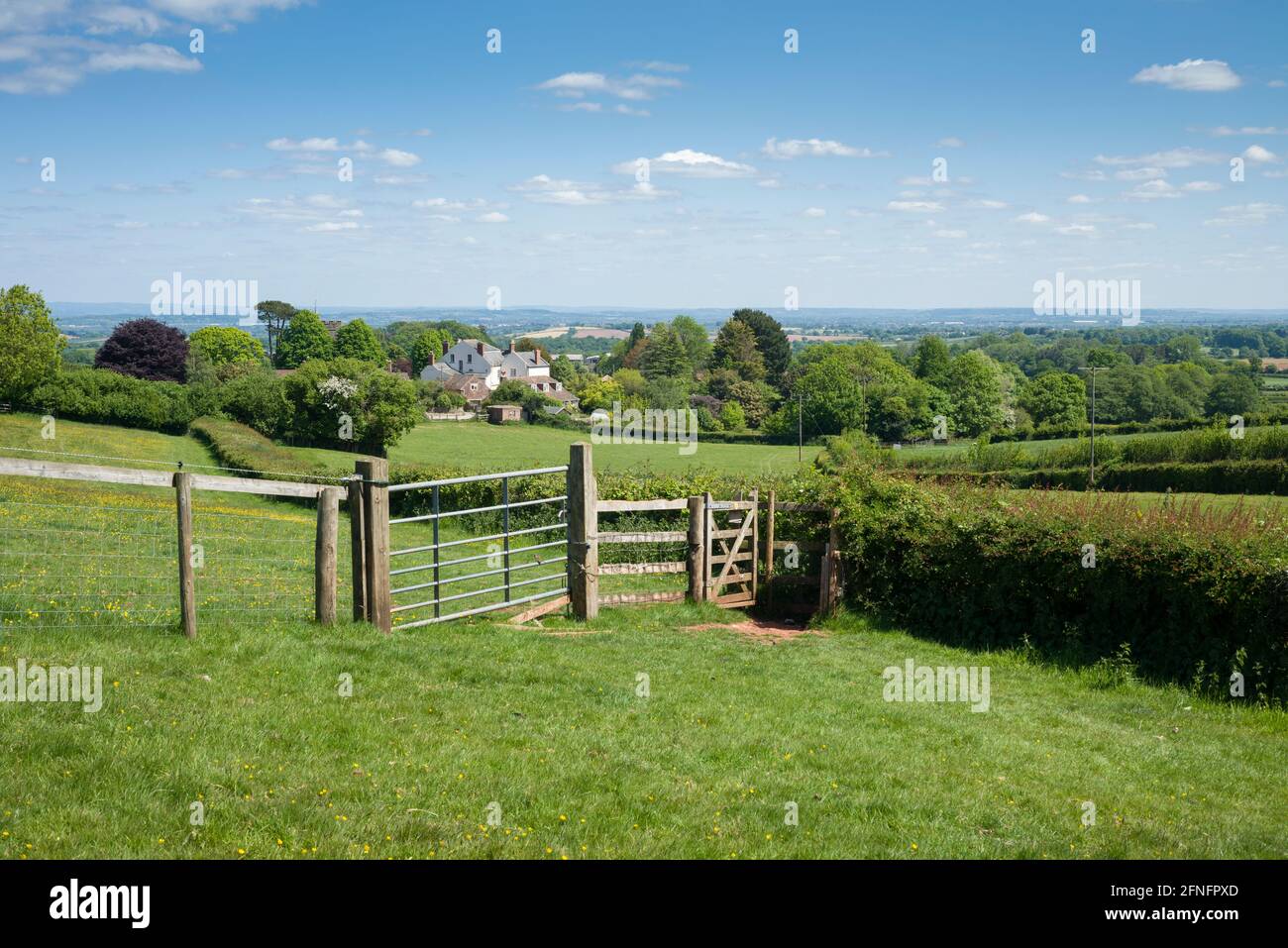 Il villaggio di Over Stowey, nel paesaggio nazionale delle Quantock Hills, in una soleggiata giornata primaverile, nel Somerset, in Inghilterra. Foto Stock