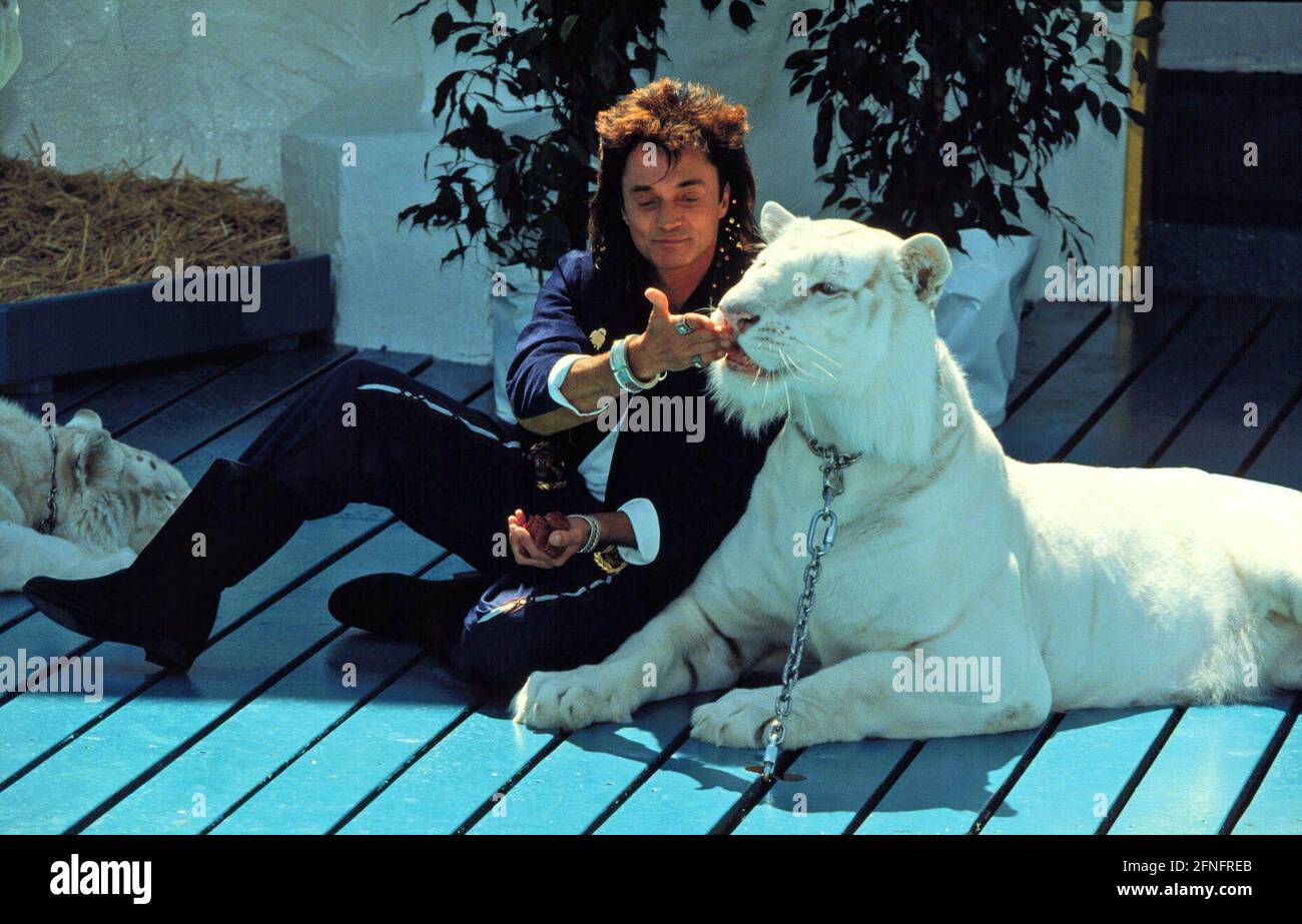 ROY HORN, deutsch-amerikanischer Magier, Zauberkünstler und Dompteur, berühmt mit seinem Las Vegas Show-Partner: Siegfried und Roy, hier auf dem Bild mit seinen weißen Tigern, Juni 1991. ROY HORN, mago tedesco-americano e tamer, famoso con il suo partner di Las Vegas Show Siegfried e Roy, sulla foto con tigri bianche. Giugno 1991. Foto Stock