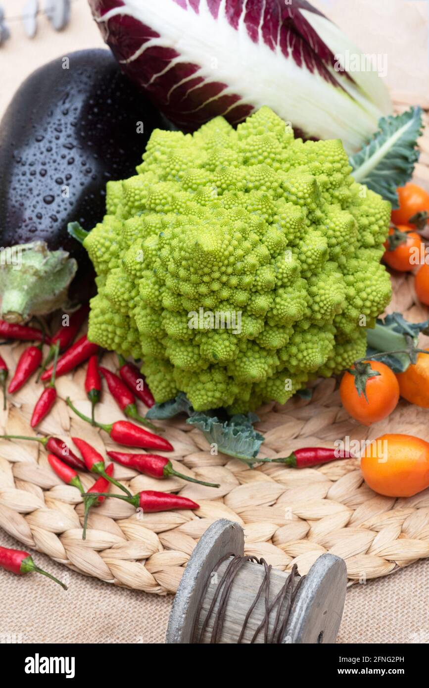 Brodo verde fresco melanzane pomodori ravanello e pepe. Verticale Foto Stock