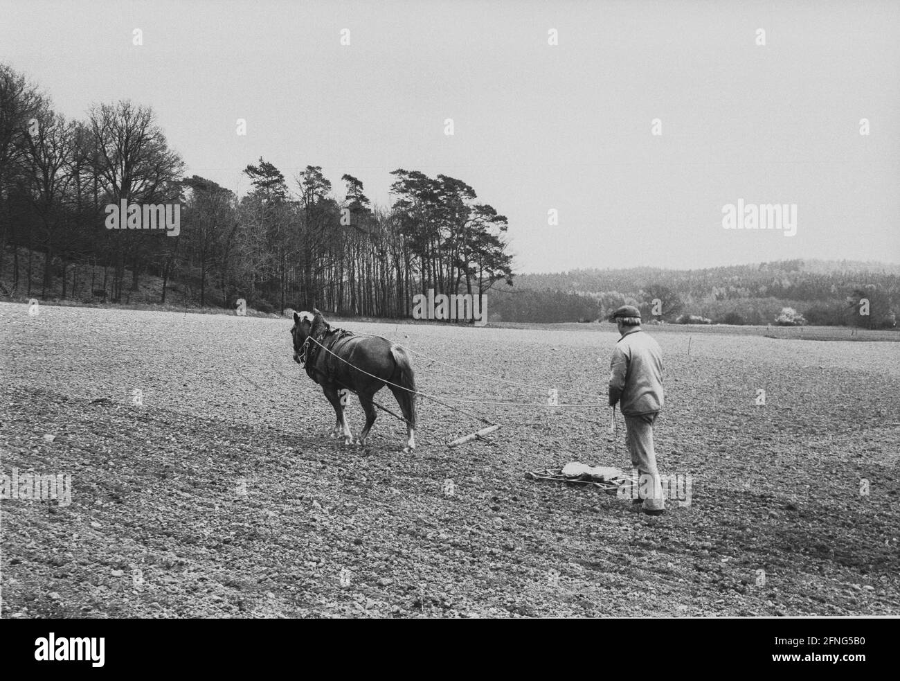 Bundeslaender / Sassonia / Paese della RDT / 1990 agricoltore privato, agricoltore del tempo libero, vicino a Plauen nel Vogtland. Lavoro sul campo con i cavalli: Questi sono i resti dell'agricoltura privata nella RDT. Solo pochi approfittano dell'opportunità di coltivare nuovamente la loro vecchia terra dopo la riunificazione. Invece del GPL, le grandi aziende agricole sono ora chiamate cooperative agricole. // Paesaggio / lavoro / Agricoltura / agricoltori / campi / animali [traduzione automatizzata] Foto Stock