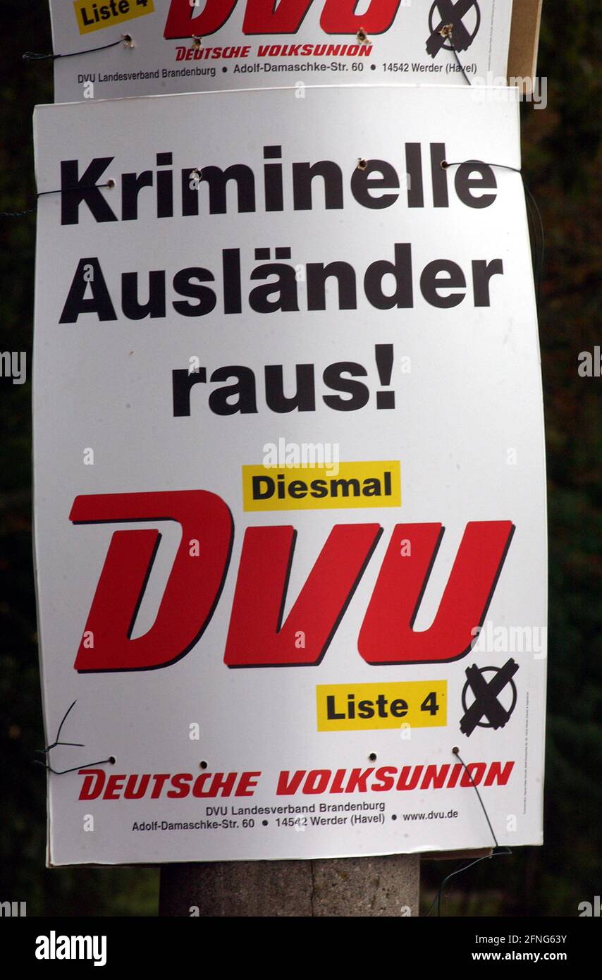 Sassonia-Anhalt / elezioni 1998 elezioni di Stato nel Brandeburgo Posters DVU a Halle: -stranieri criminali fuori- / / ala destra / Unione popolare tedesca // [traduzione automatizzata] Foto Stock
