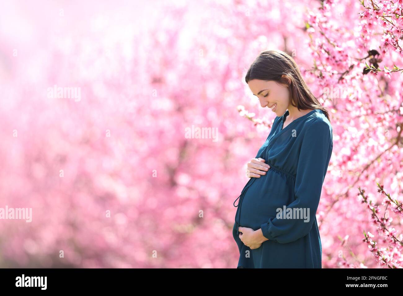 Profilo di una donna incinta che guarda la pancia in un campo rosa nella stagione primaverile Foto Stock