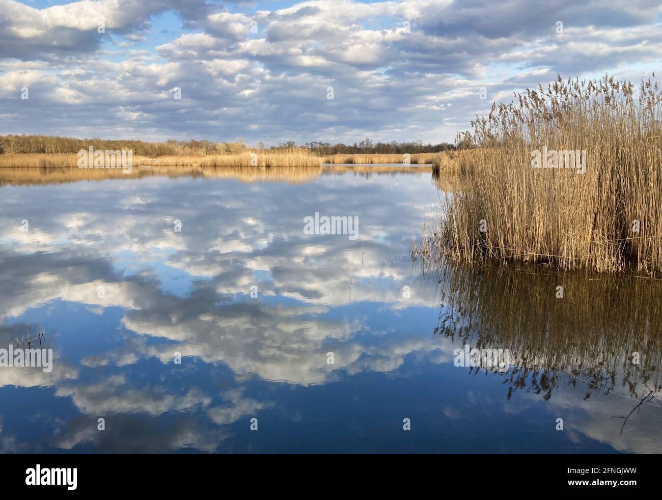 Lago con le nuvole di riflessione in primavera Foto Stock
