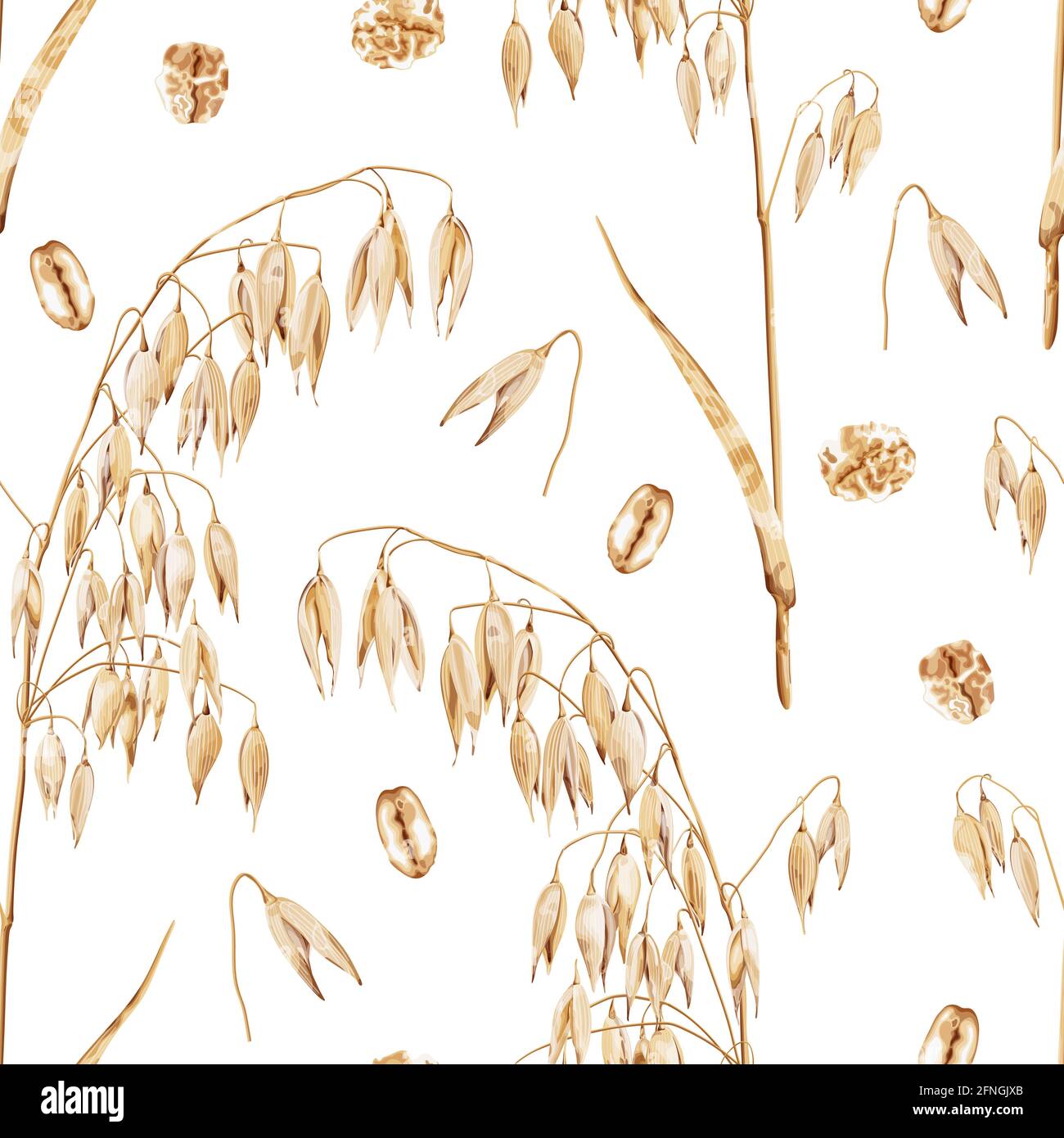 Modello senza cuciture con un ramo di fiocchi di orzo e avena maturi su sfondo bianco. Raccolta di cereali. Illustrazione Vettoriale