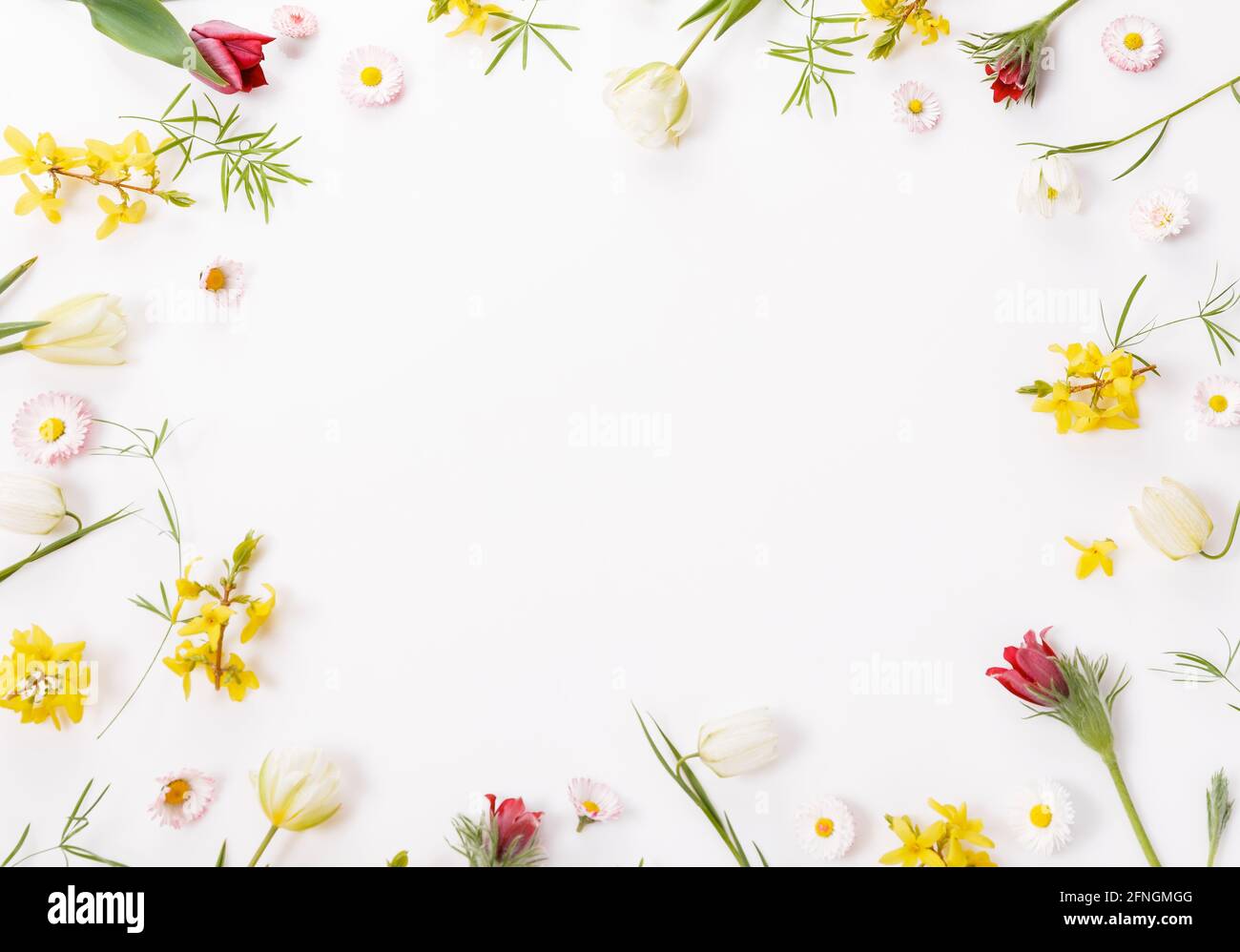 Cornice primavera di piccoli fiori e margherite, disposizione floreale Foto  stock - Alamy