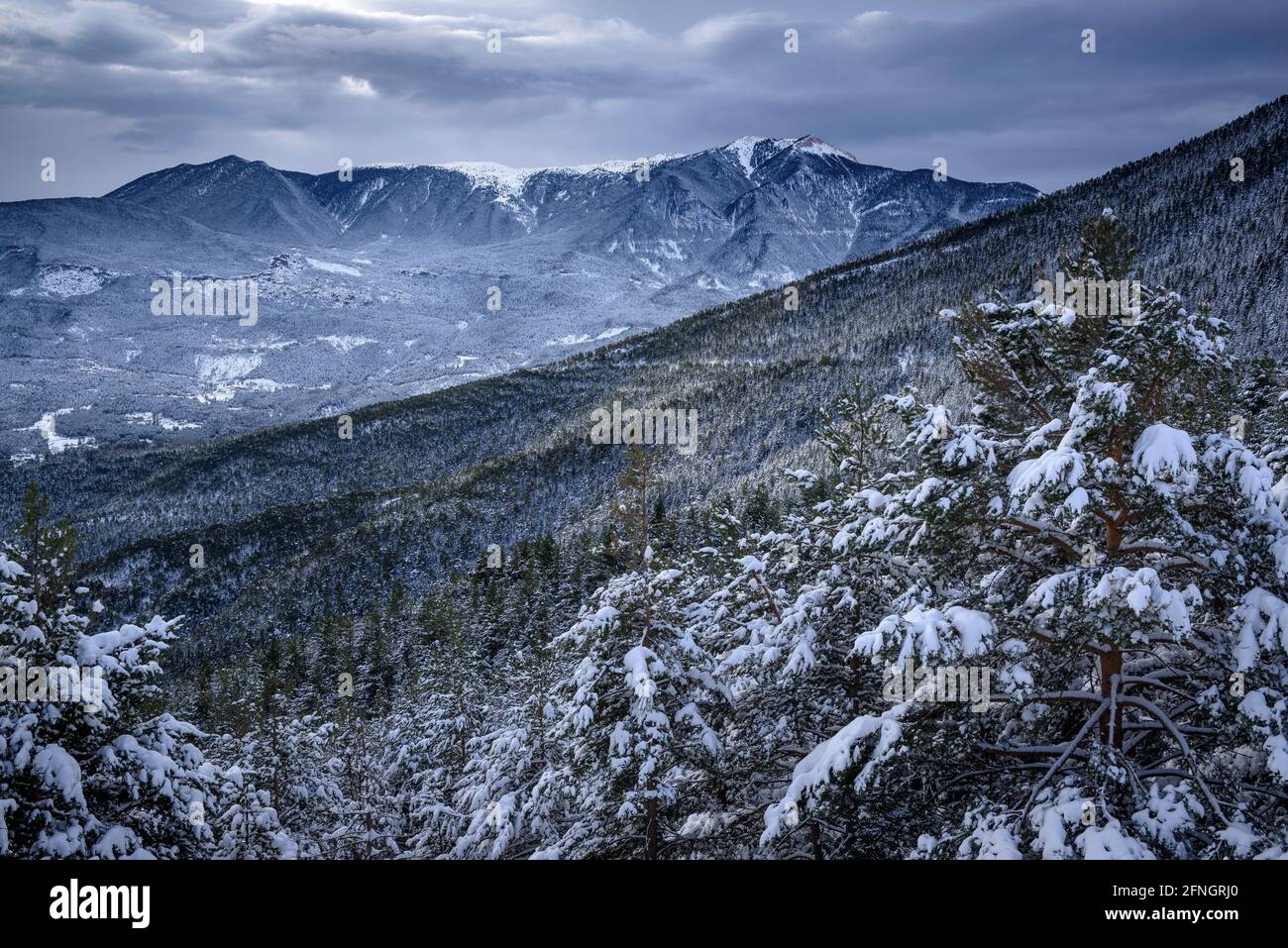 Serra d'Ensija visto dal punto di vista di Grolet dopo una nevicata invernale (Berguedà, Catalogna, Spagna, Pirenei) Foto Stock