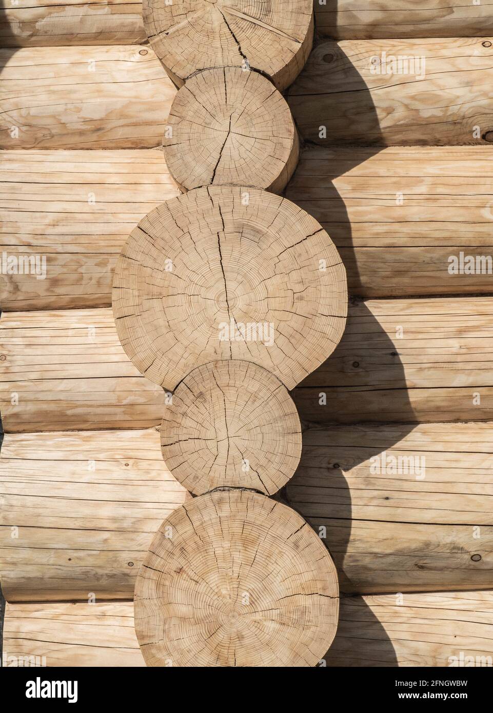 Schema di fondo naturale di una parete di log. Costruzione di case di legno da tronchi. Foto Stock