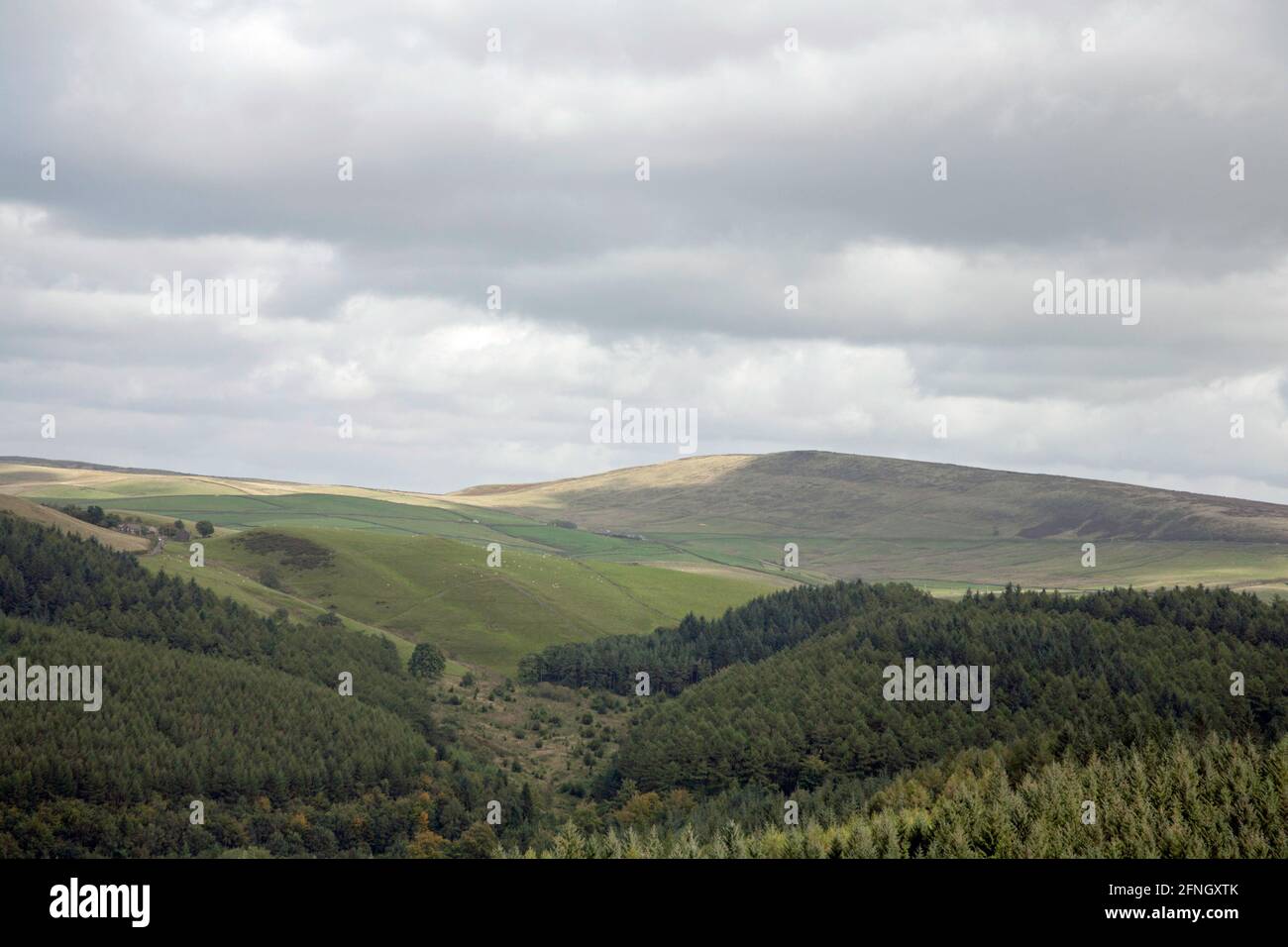 Shining Tor visto dalla Macclesfield Forest vicino Macclesfield Cheshire Inghilterra Foto Stock