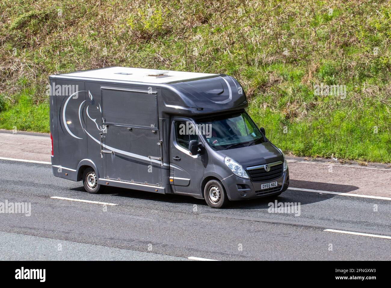 2015 Vauxhall Movano F3500 L3H2 CDTI; pulmino di crine; trasporto di animali equini in pulmino di conversione che viaggia sull'autostrada M6, Lancashire, Regno Unito Foto Stock