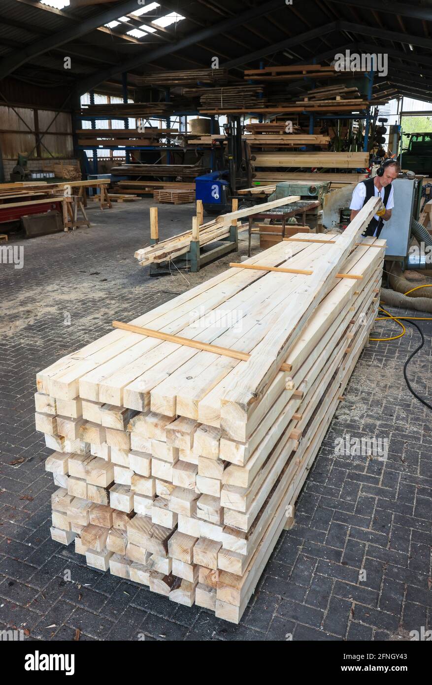 Solingen, Nord Reno-Westfalia, Germania - tronco di abete rosso, qui il legno di abete rosso infestato da barbabietole, Kaeferholz, è trasformato in legname da costruzione Foto Stock