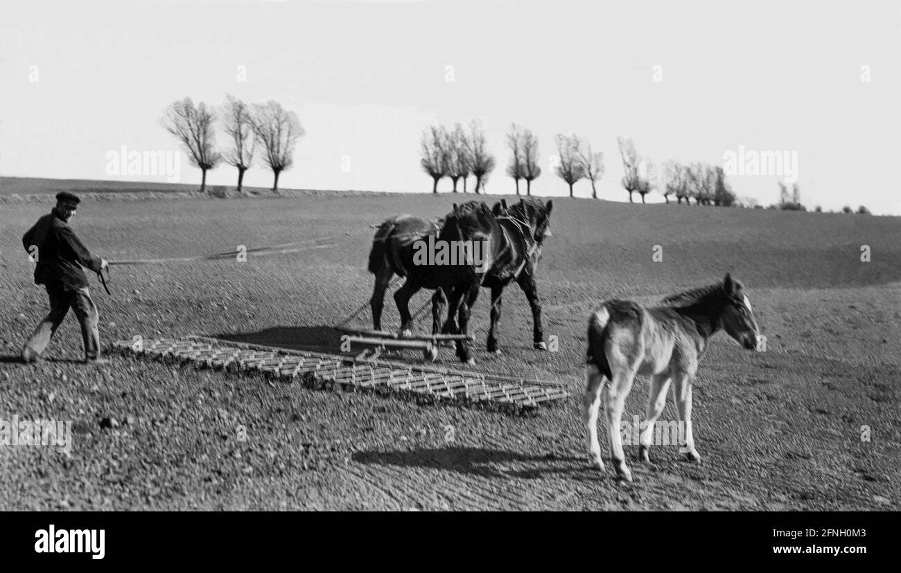 L'agricoltore harrows i campi in primavera e lasciare il nemico segue il mare durante il lavoro Foto Stock