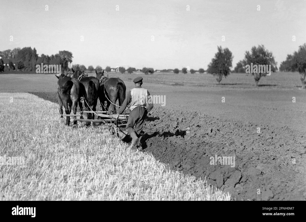 I campi vengono arati dopo il raccolto Foto Stock