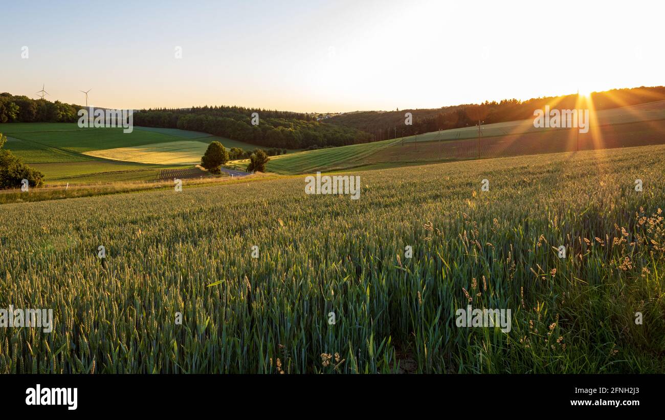 Vista panoramica del verde campo agricolo in paesaggio rurale al tramonto con vista sulla valle Werbach in Germania. Escursioni in estate a Werbach Foto Stock