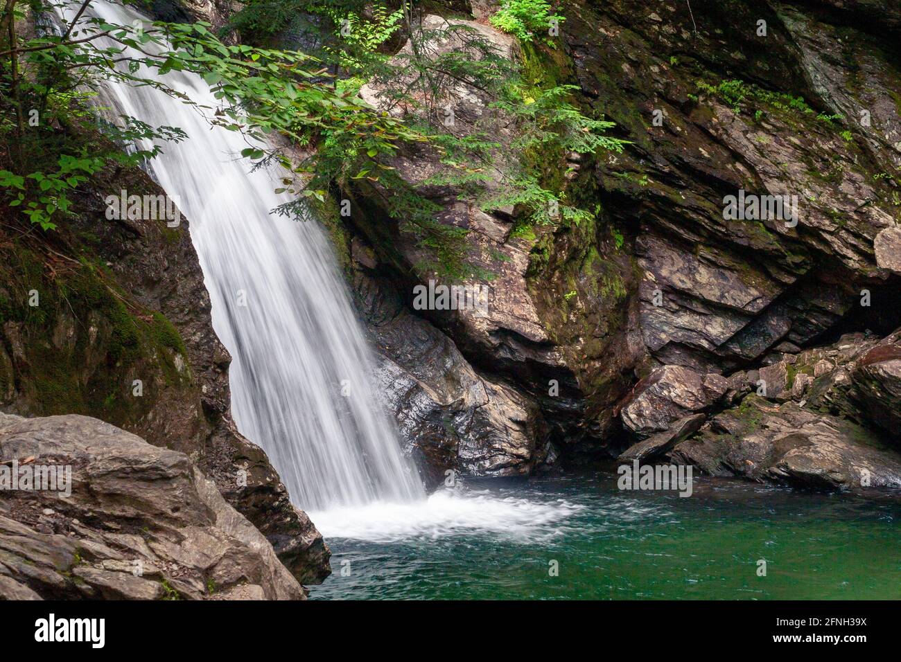 Cascata isolata in piscina rocciosa con verde fogliame in primo piano Foto Stock