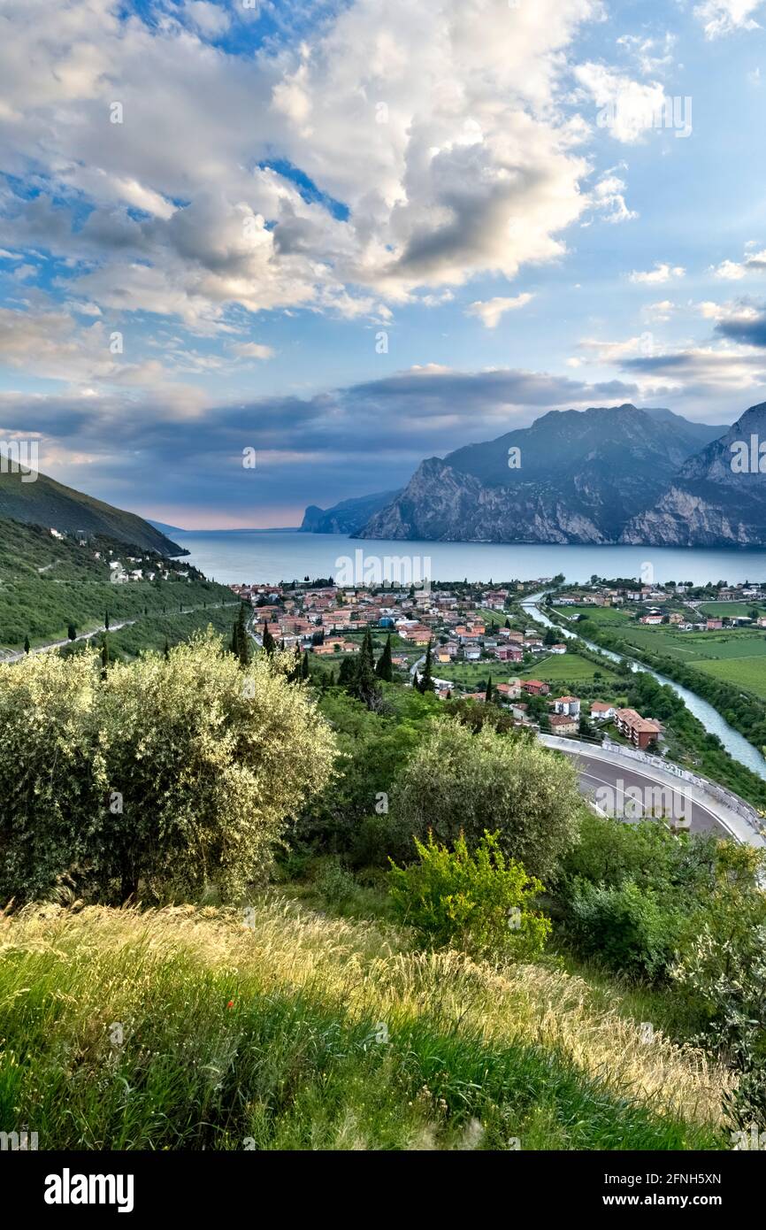 Uliveti sopra il paese di Torbole e il Lago di Garda. Provincia di Trento, Trentino Alto Adige, Italia, Europa. Foto Stock