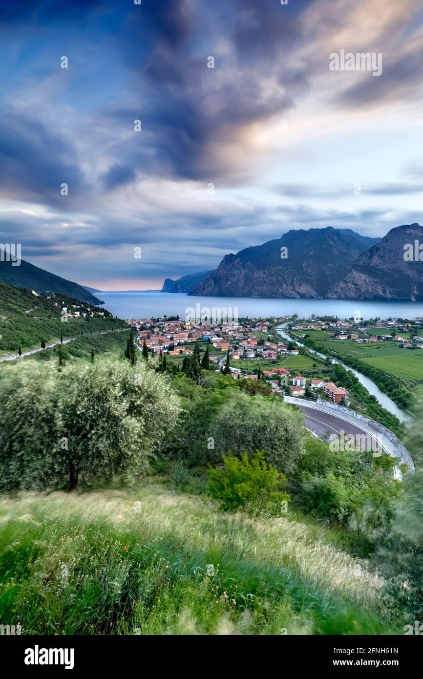 Uliveti sopra il paese di Torbole e il Lago di Garda. Provincia di Trento, Trentino Alto Adige, Italia, Europa. Foto Stock