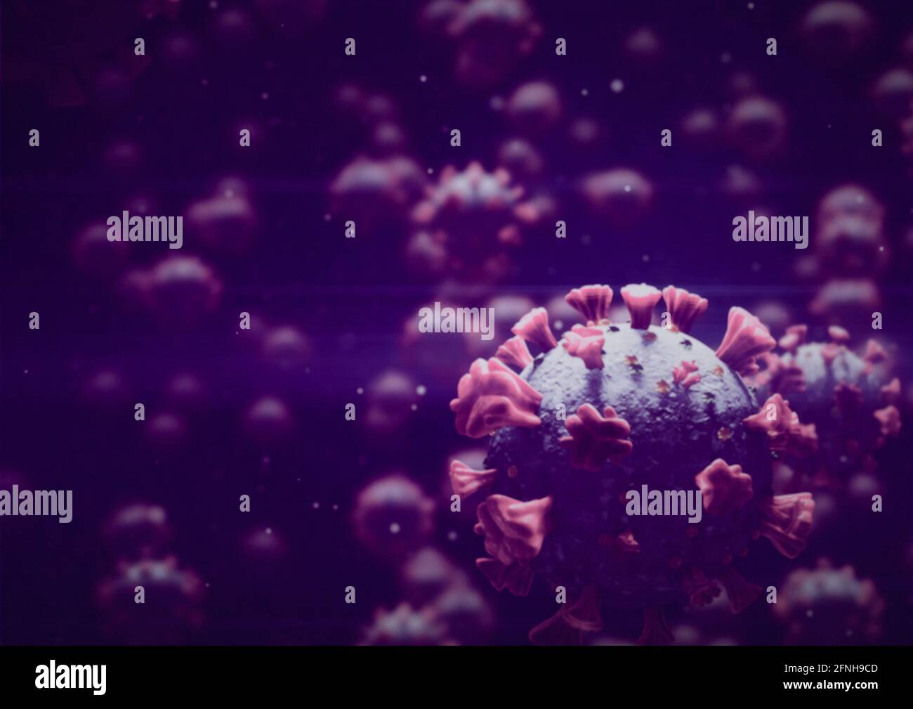 Cellule del virus Corona che galleggiano su uno sfondo viola, covid-19 e concetti pandemici Foto Stock