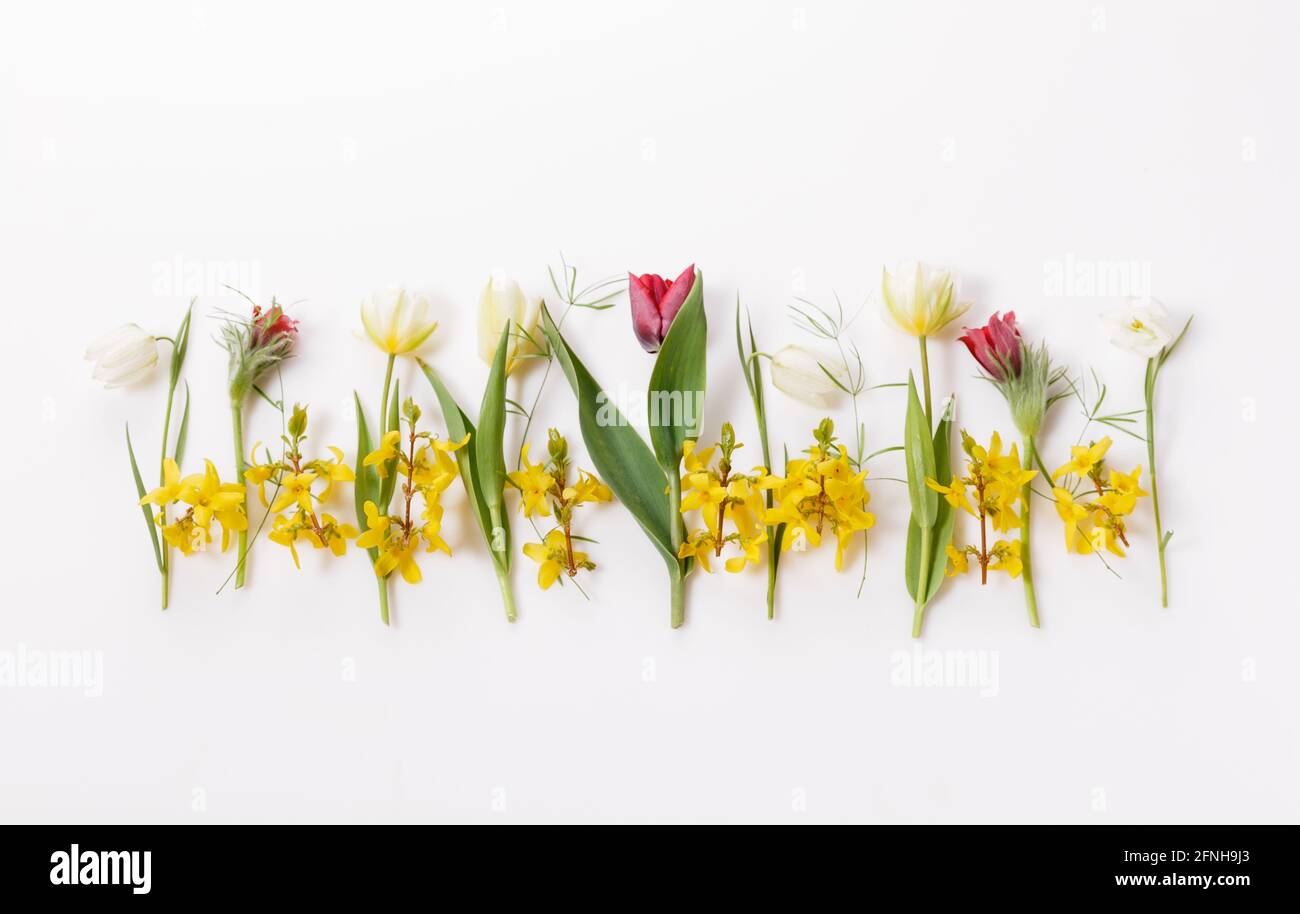 Cornice primavera di piccoli fiori e margherite, disposizione floreale Foto Stock