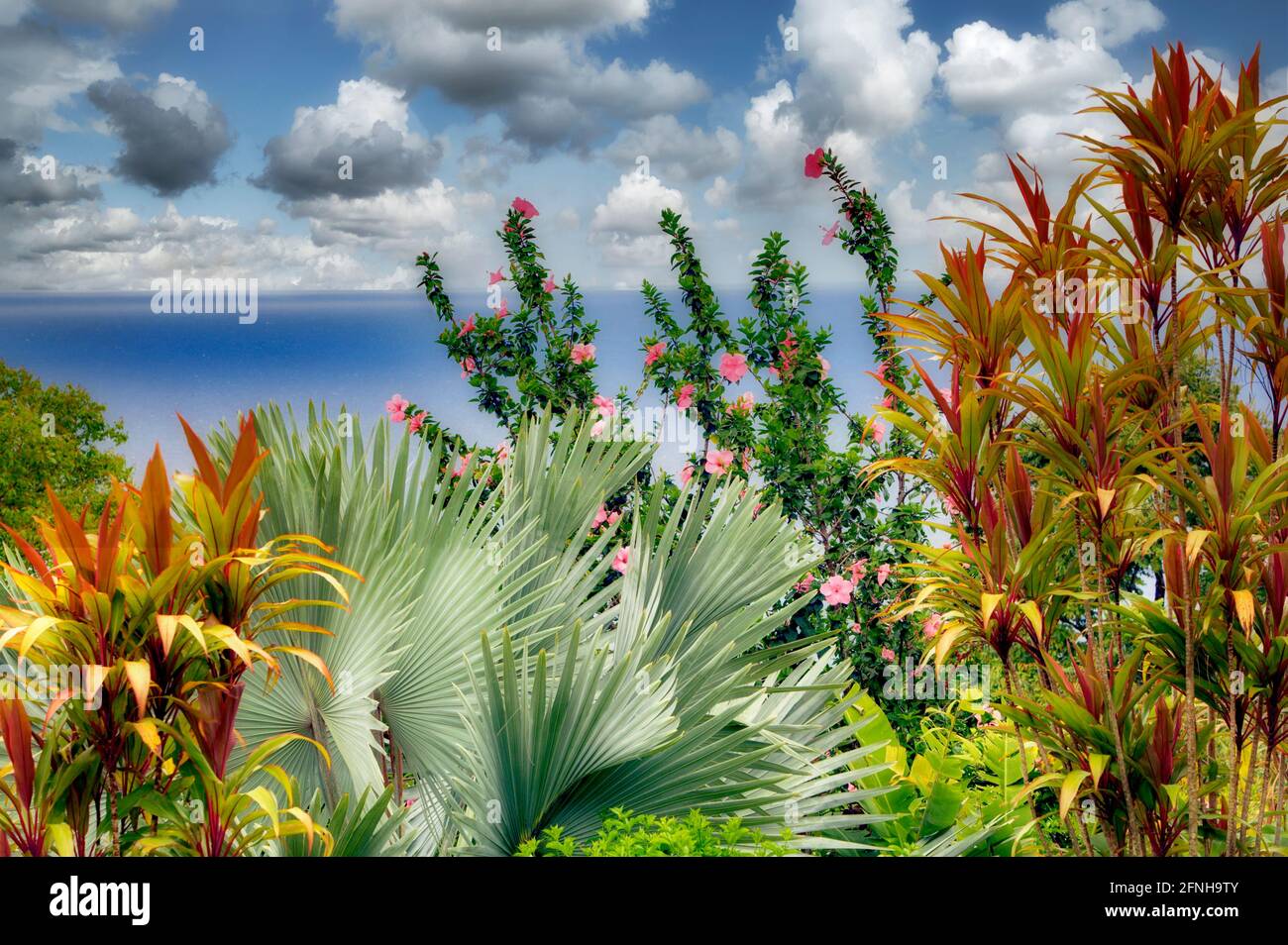 Hybisco e palma con oceano. Giardino di Eden Botanical Gardens. Maui. Hawaii Foto Stock