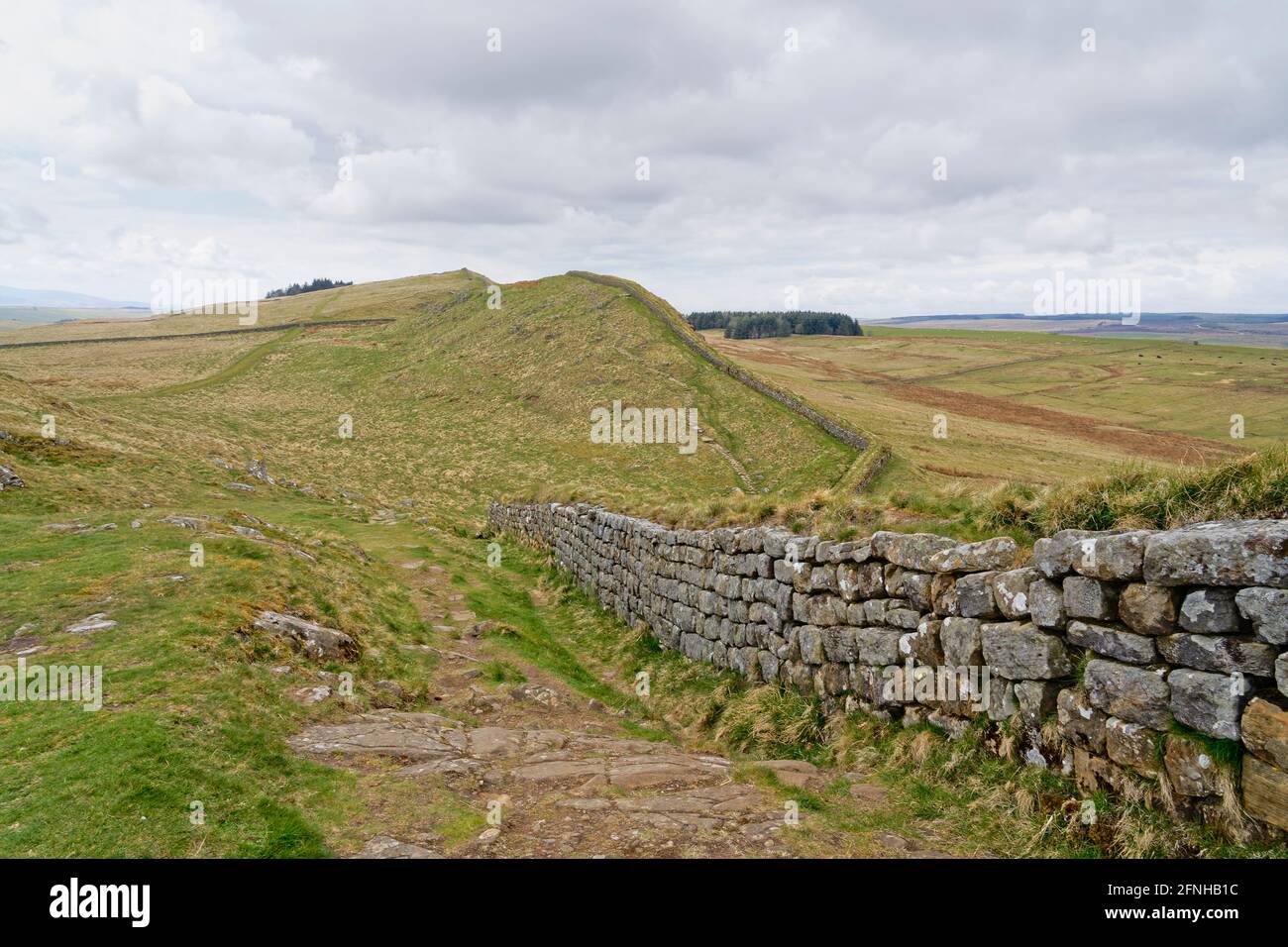 I resti del Muro di Adriano che attraversano l'aspra campagna del Northumbria in una fredda mattina di primavera grigia Foto Stock