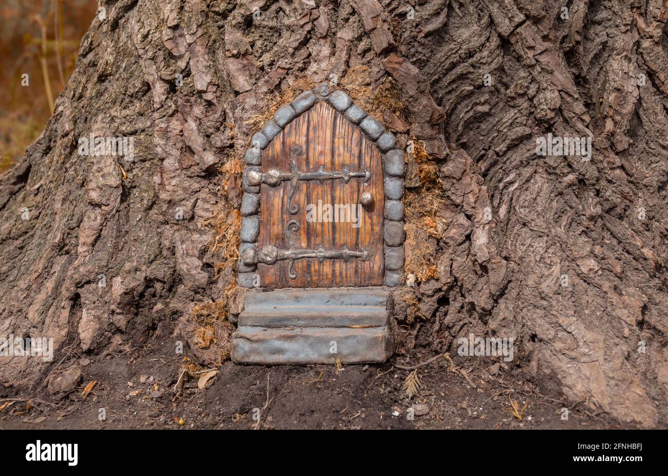 porta verde in un albero Foto Stock