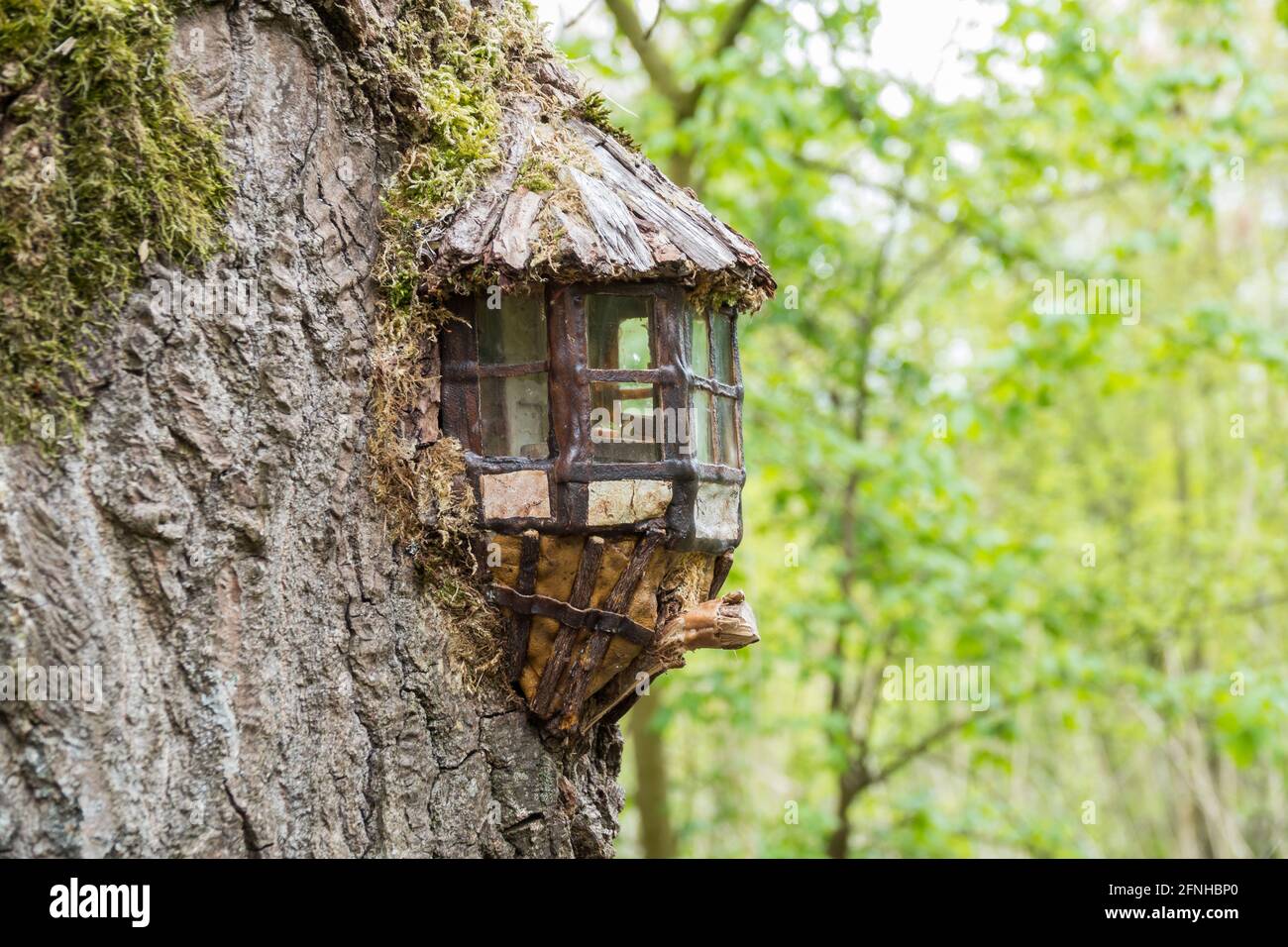 casa in miniatura realizzata in un albero Foto Stock