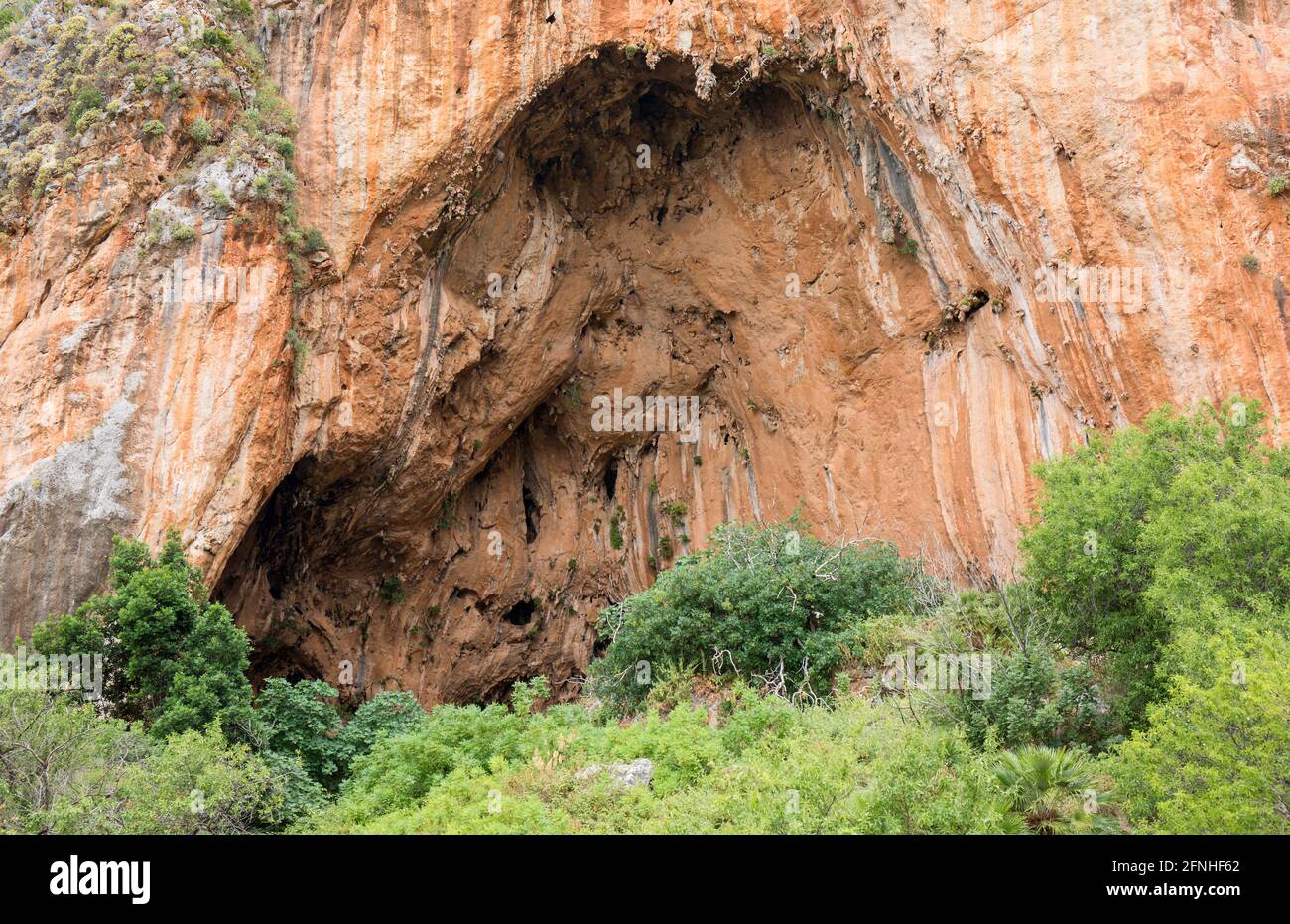 Riserva Naturale Zingaro, Trapani, Sicilia, Italia. Vista sulle cime degli alberi fino alla Grotta dell'Uzzo, una grotta di interesse preistorico sopra Cala dell'Uzzo. Foto Stock